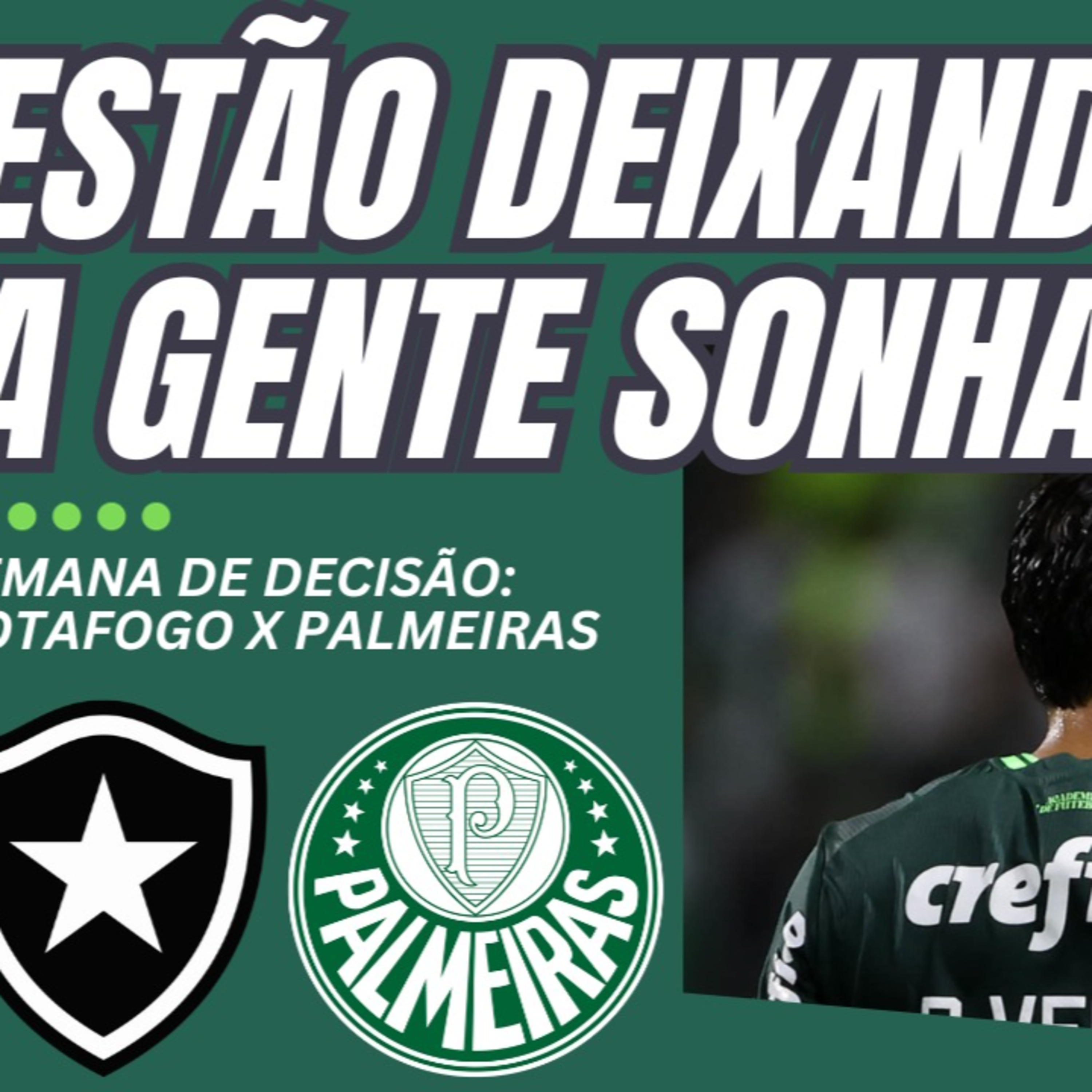 AO VIVO _ PALMEIRAS VENCE, BOTAFOGO É DERROTADO E DIFERENÇA DIMINUI NA TABELA _ AGORA É DECISÃO episode artwork