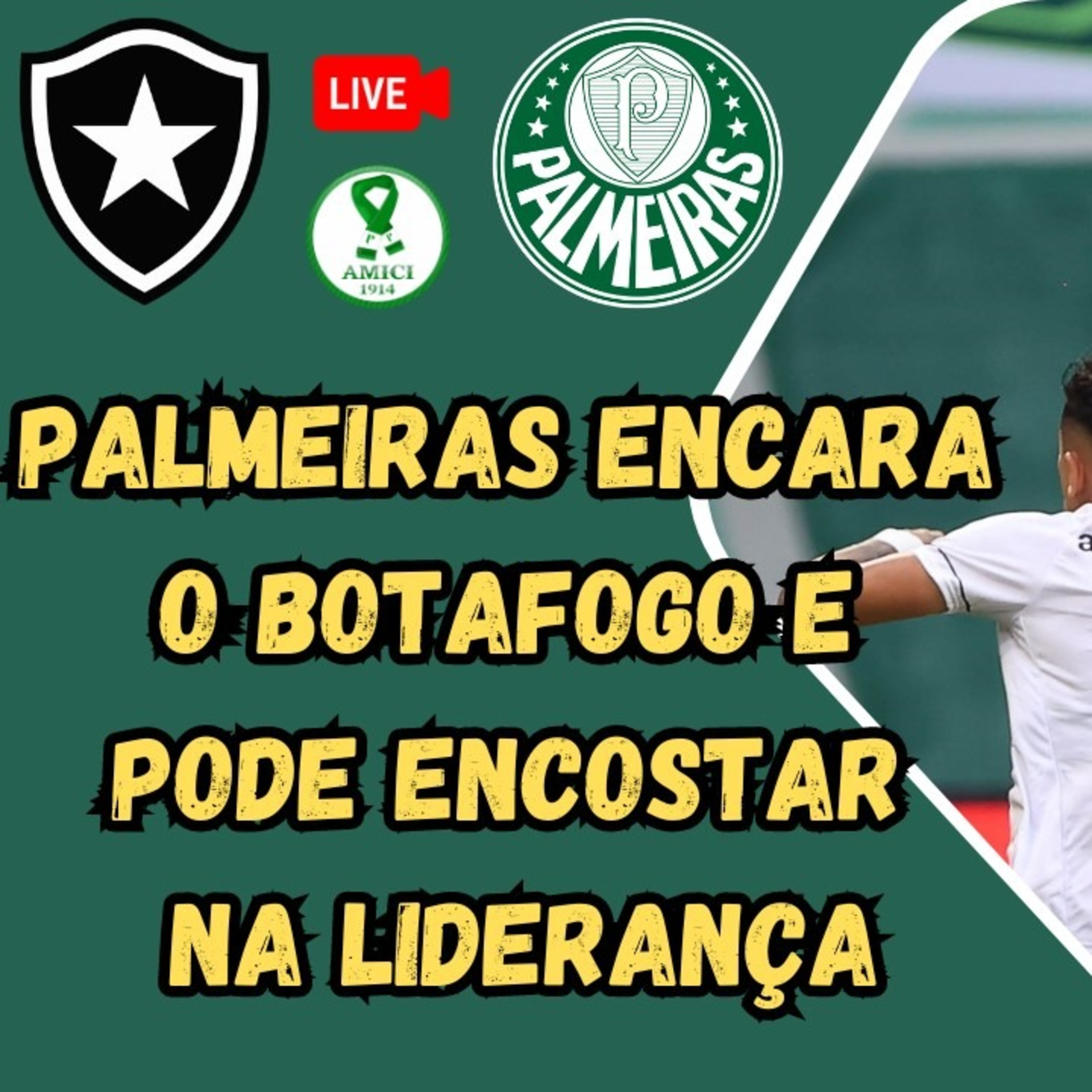 AO VIVO _ PALMEIRAS TERÁ JOGO DECISICO CONTRA O BOTAFOGO PELO BRASILEIRÃO _ VEJA SEQUÊNCIA DO VERDÃO