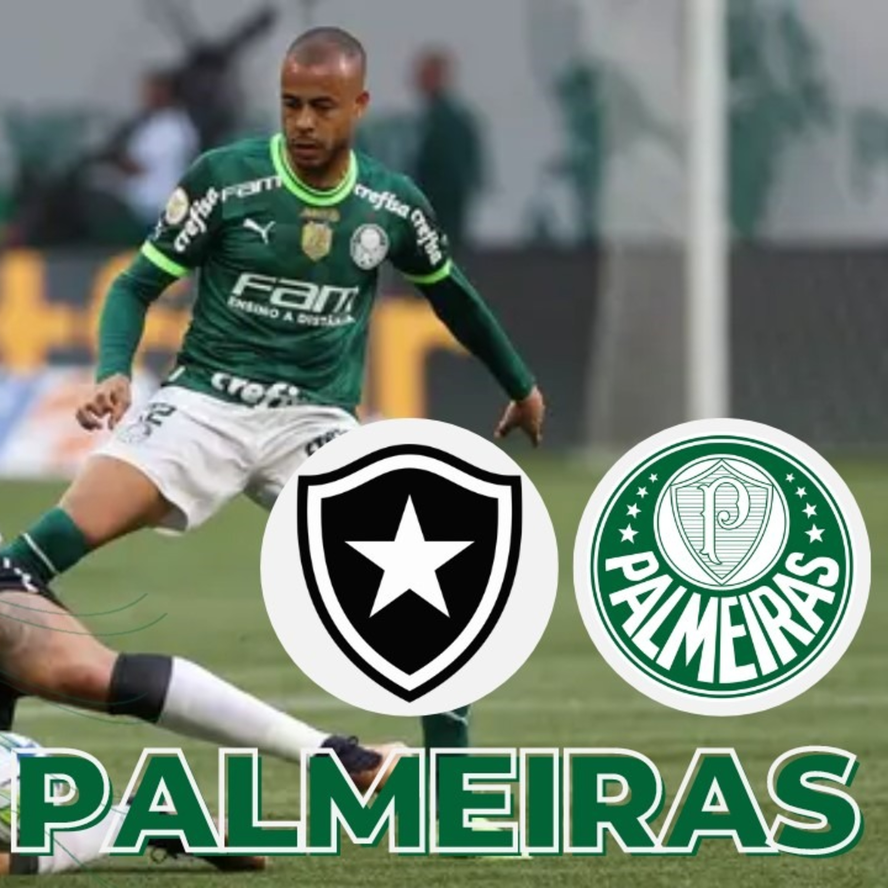 AO VIVO_ É DIA DE PALMEIRAS! VERDÃO ENFRENTA O BOTAFOGO _ LÍDER X VICE-LIDER _ TUDO SOBRE A RODADA