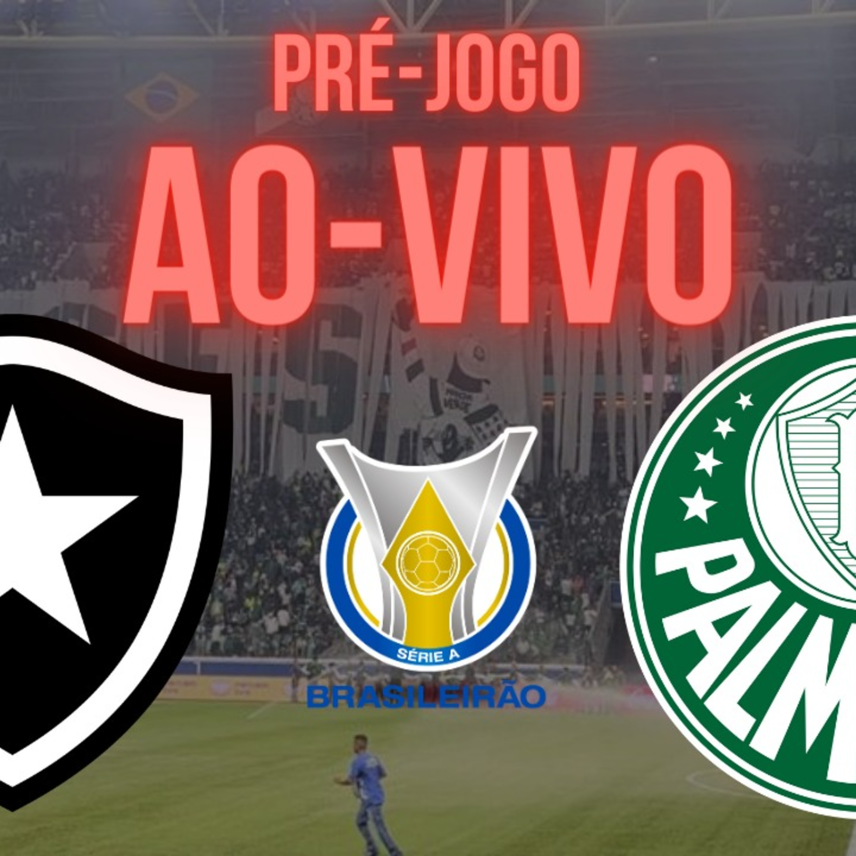 PRÉ-JOGO _ BOTAFOGO x PALMEIRAS _ BRASILEIRÃO 2023 _ AO VIVO