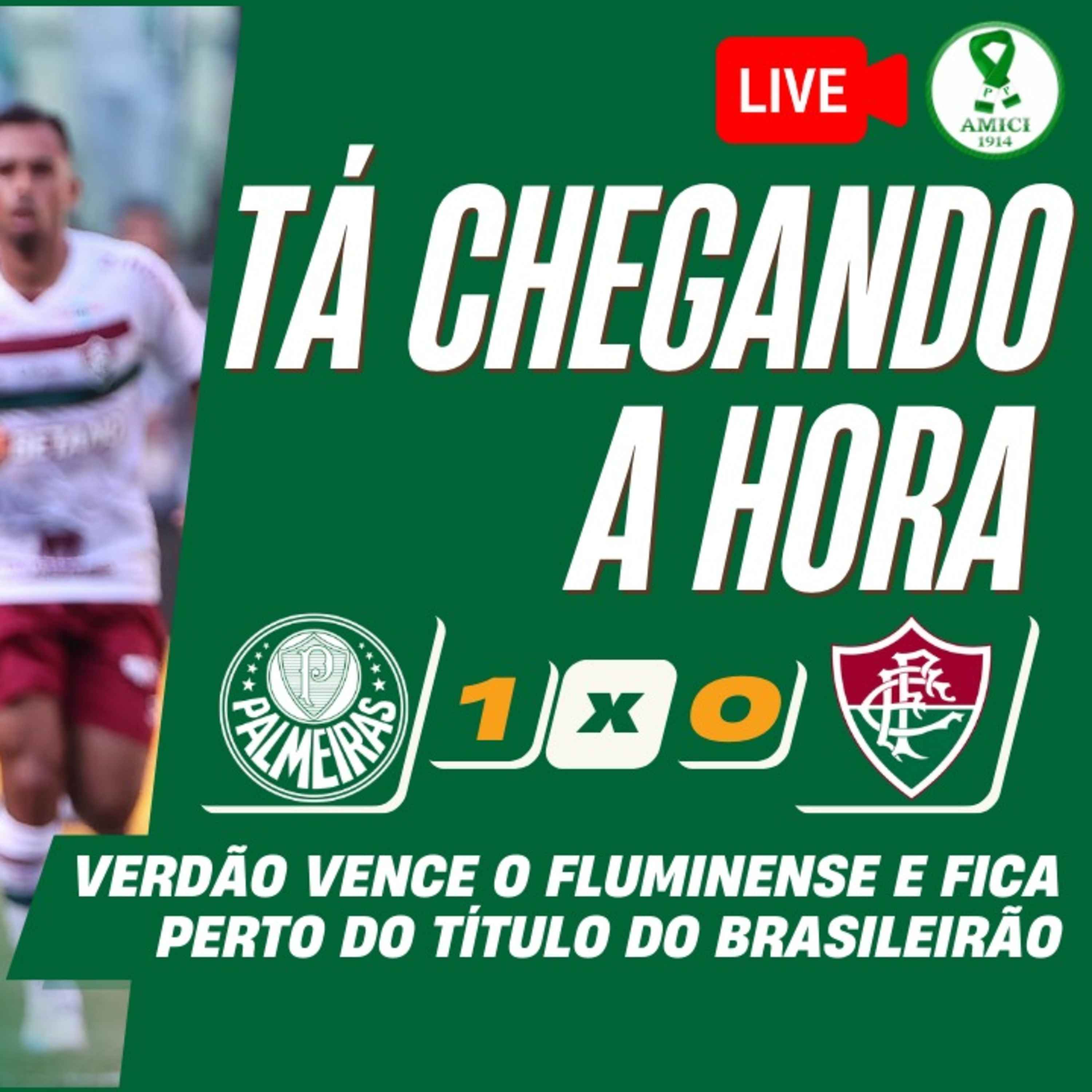 AO VIVO _ PALMEIRAS VENCE FLUMINENSE E FICA MAIS PERTO DO TÍTULO DO BRASILEIRÃO _ ANÁLISE DA RODADA