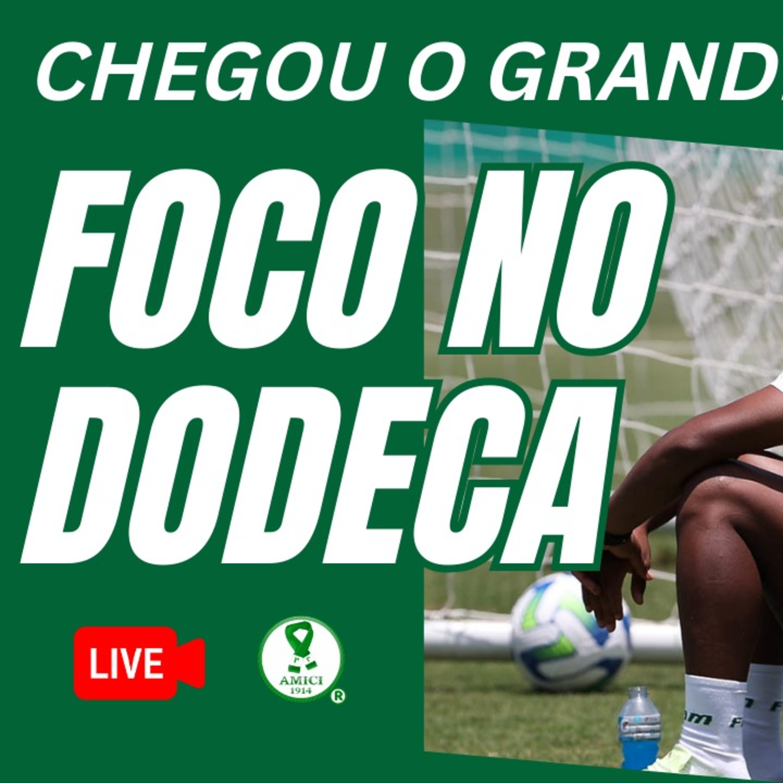 AO VIVO _ CHEGOU O DIA! É DIA DE CRUZEIRO X PALMEIRAS _ VERDÃO A UM PASSO DO DODECA BRASILEIRO