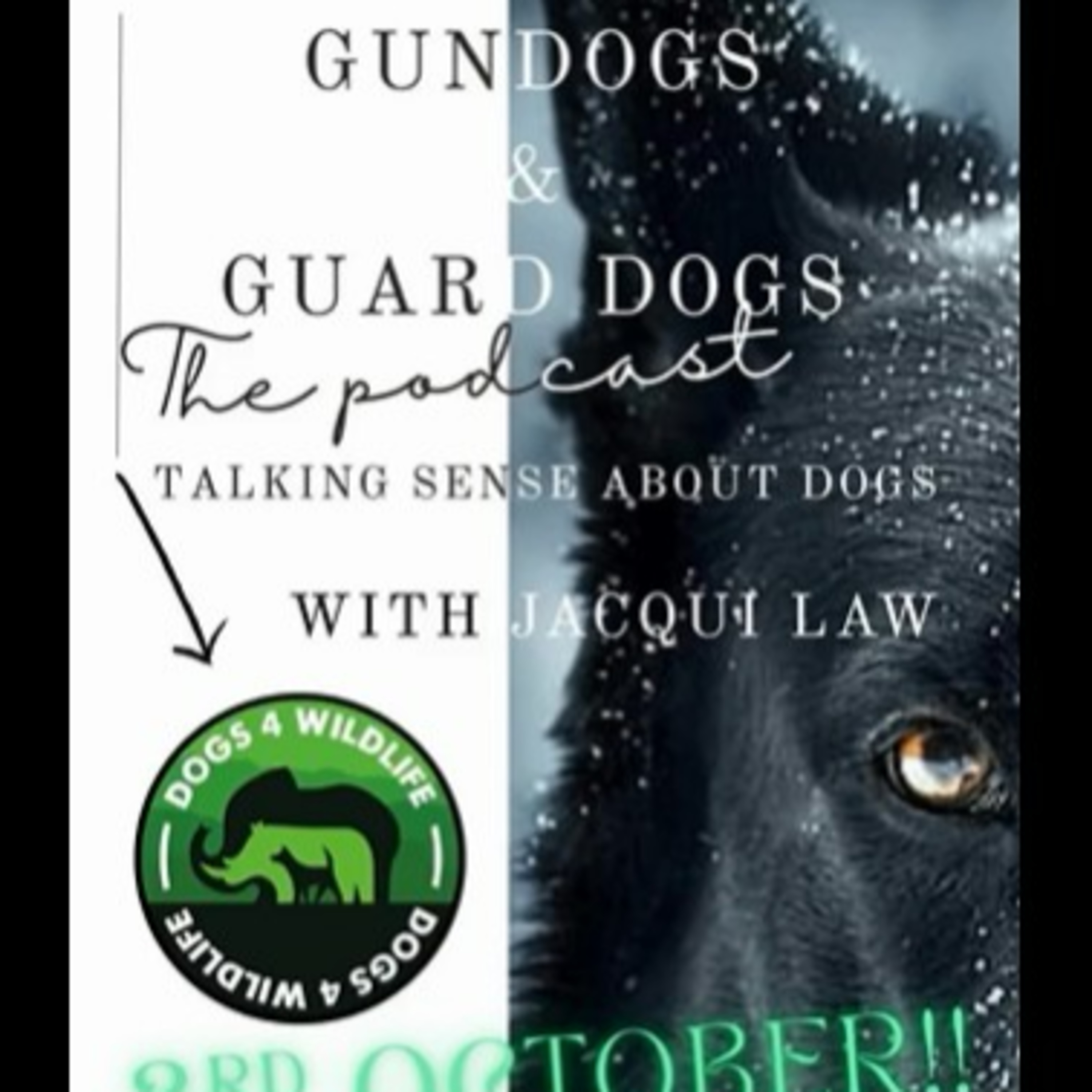S6E3 A Round Peg in a Round Hole: Dogs4Wildlife with Jacquie Law