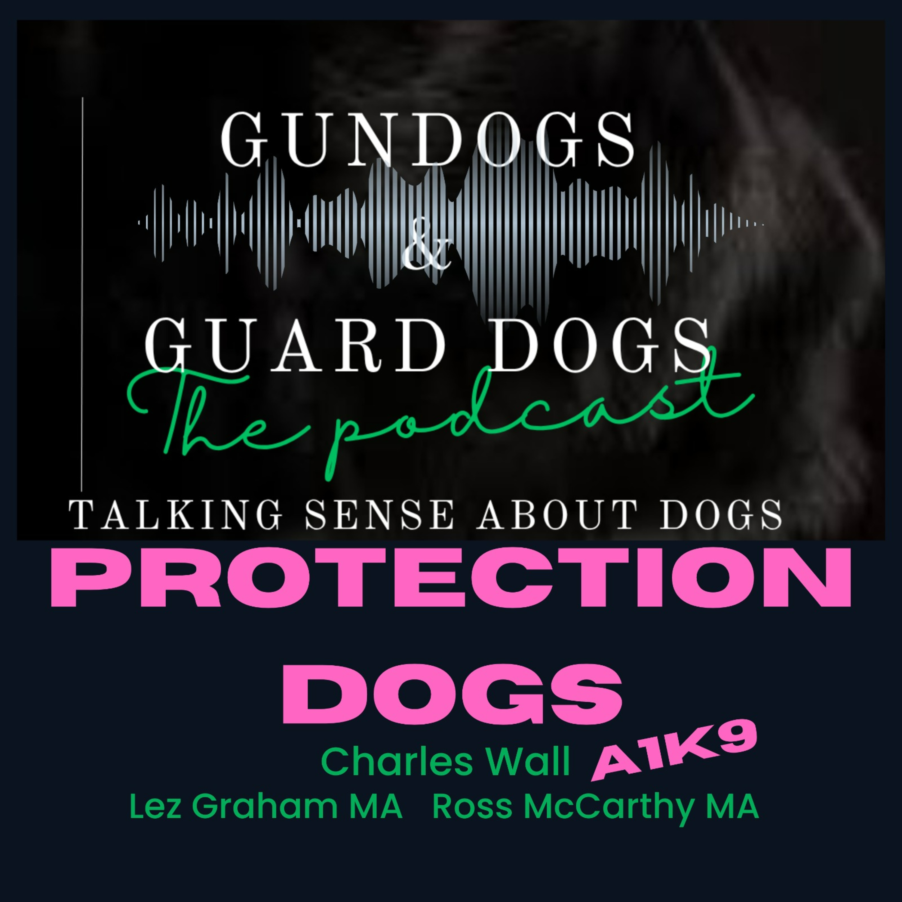 S6E7 Do Gundogs need Guard Dogs? episode artwork
