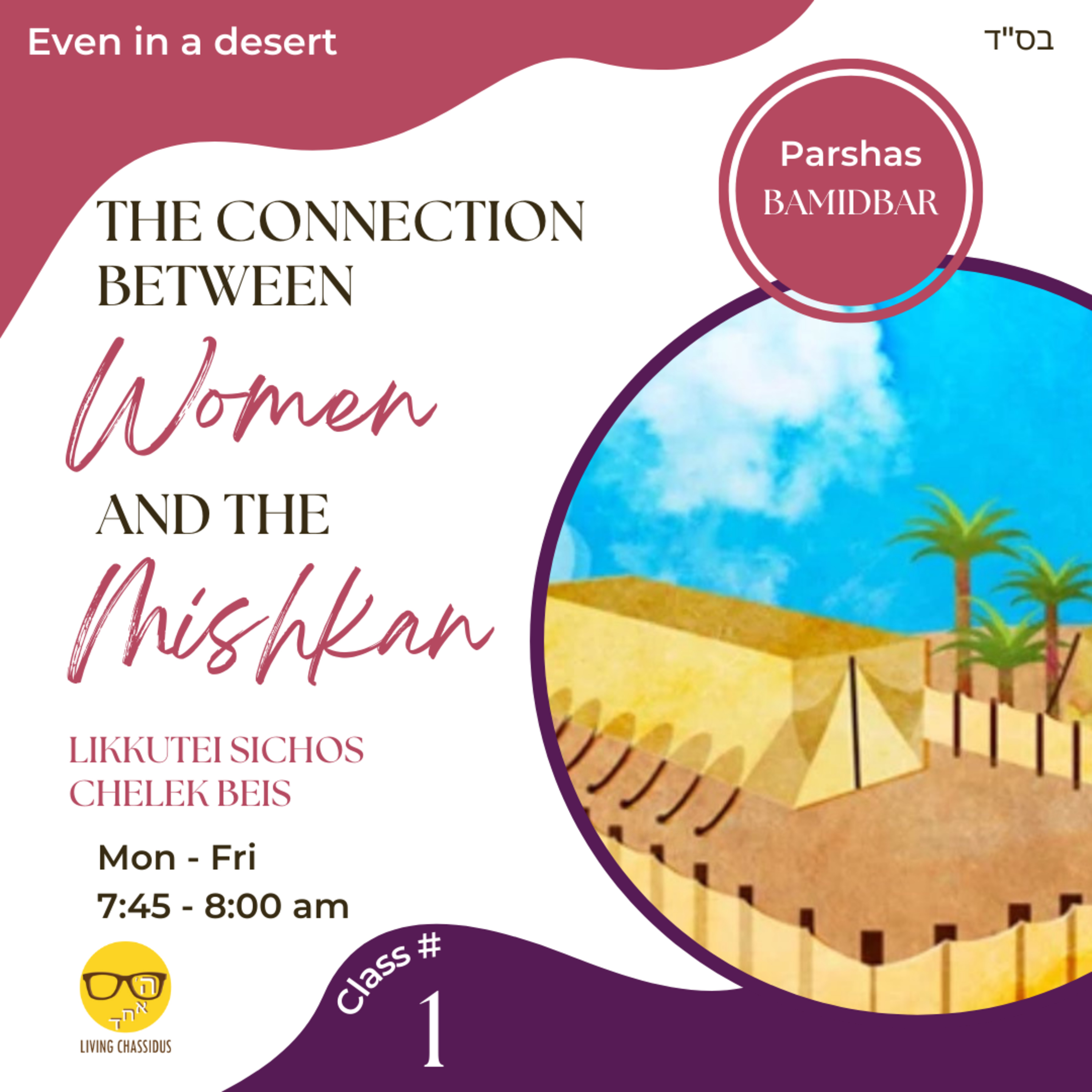 Daily Zoom Shiur: Bamidbar - Class 1 episode artwork