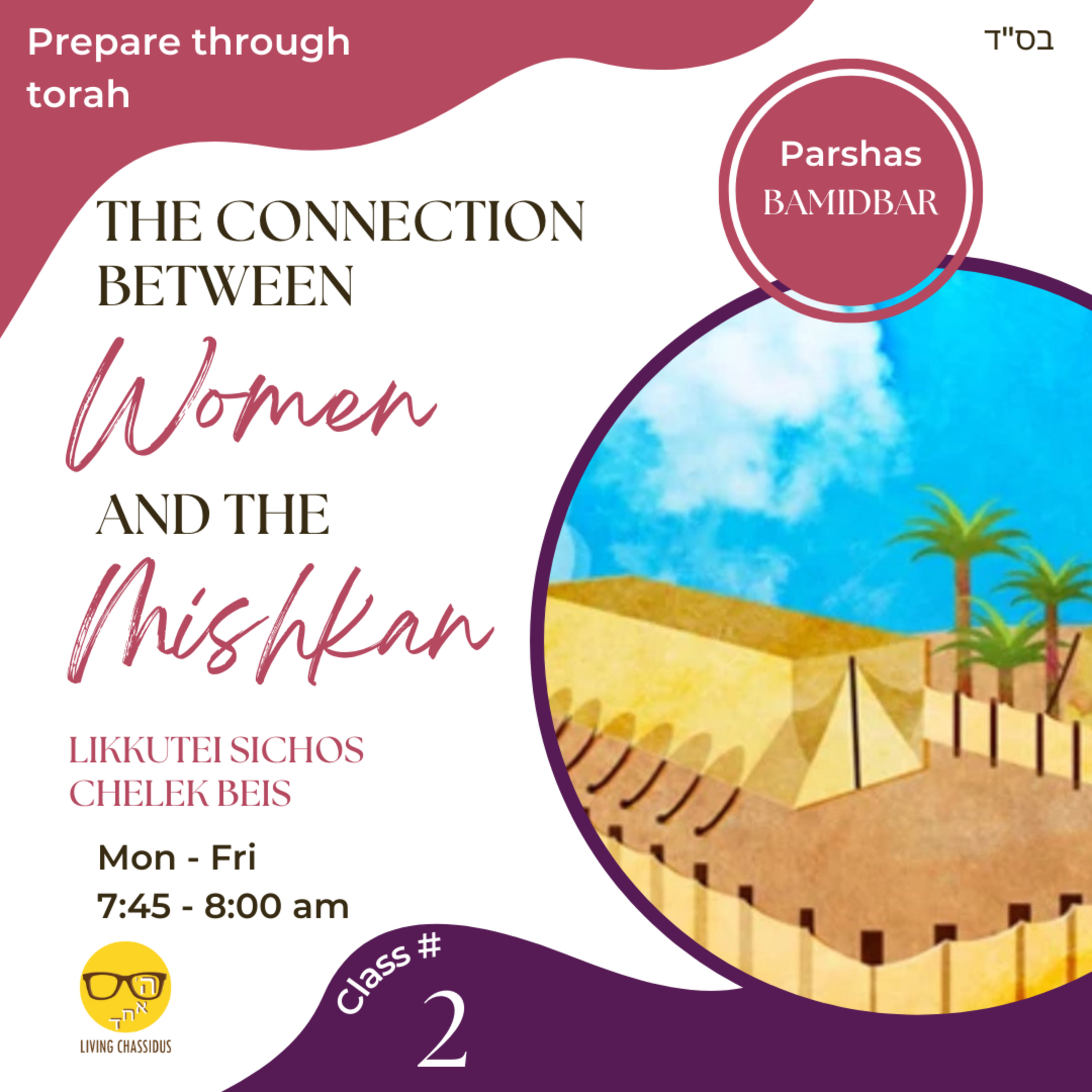 Daily Zoom Shiur Bamidbar: Class 2 episode artwork