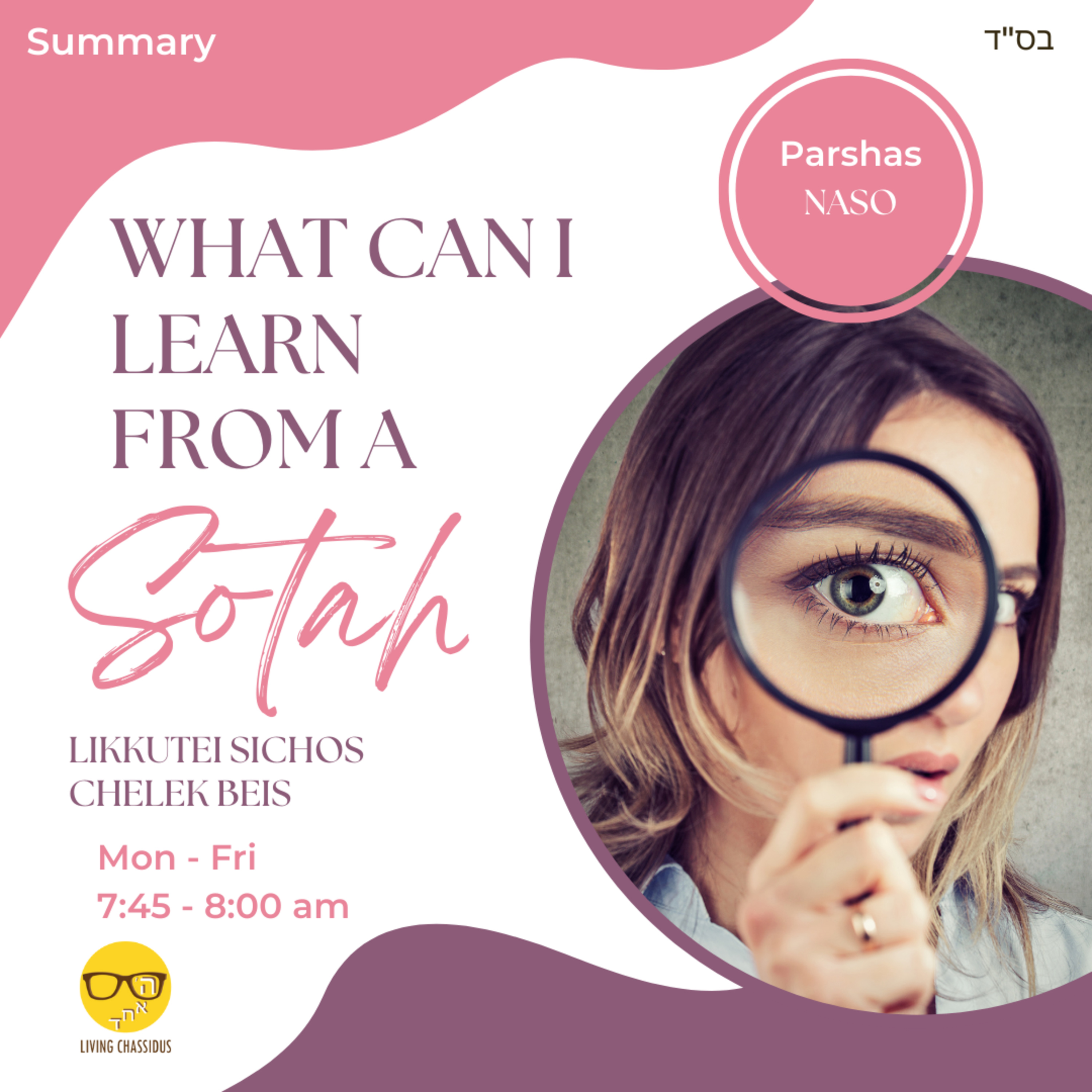 Daily Zoom Shiur Naso: Summary episode artwork