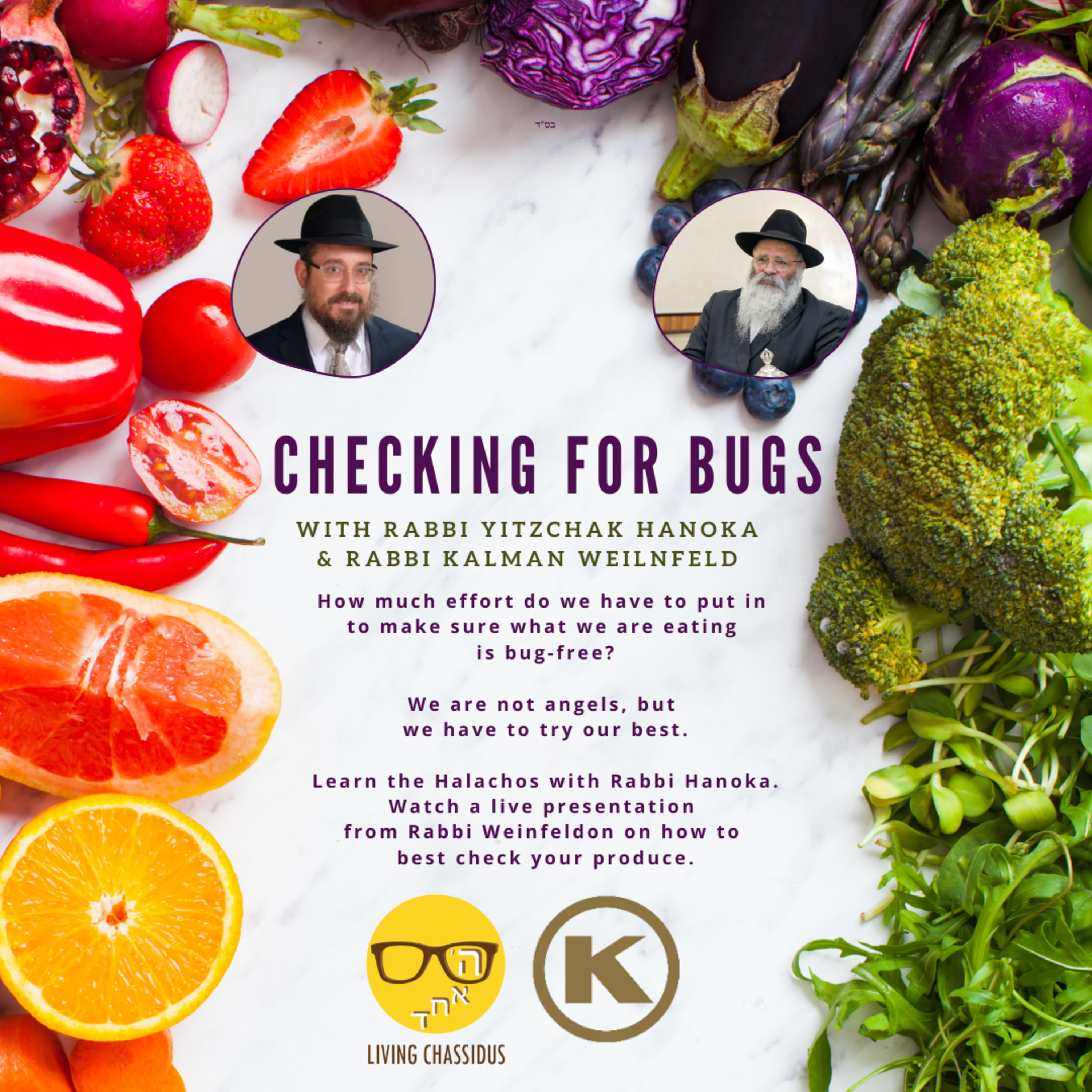 Checking for Bugs with Rabbi Hanoka and Rabbi Weinfeld episode artwork