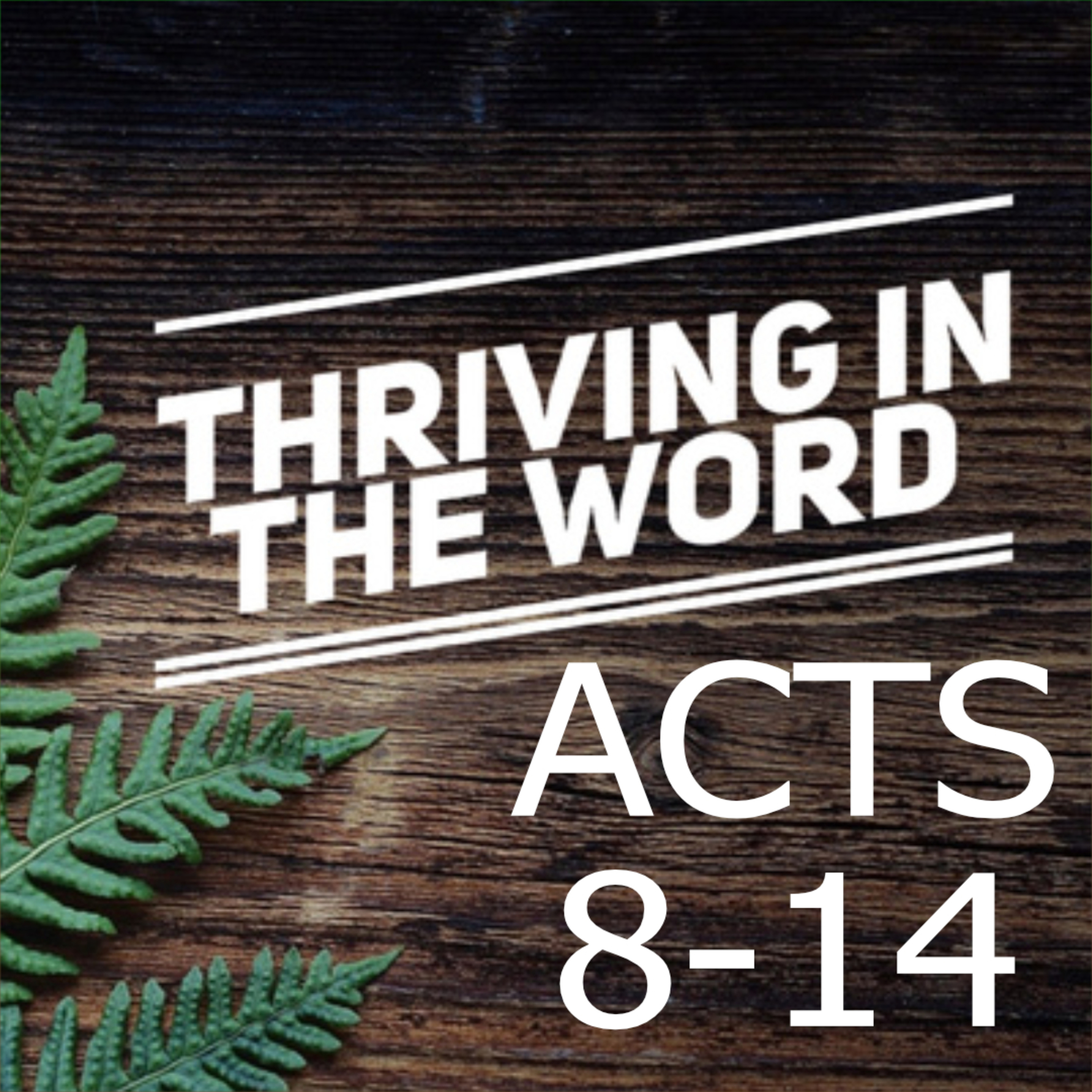 Thriving in The Word