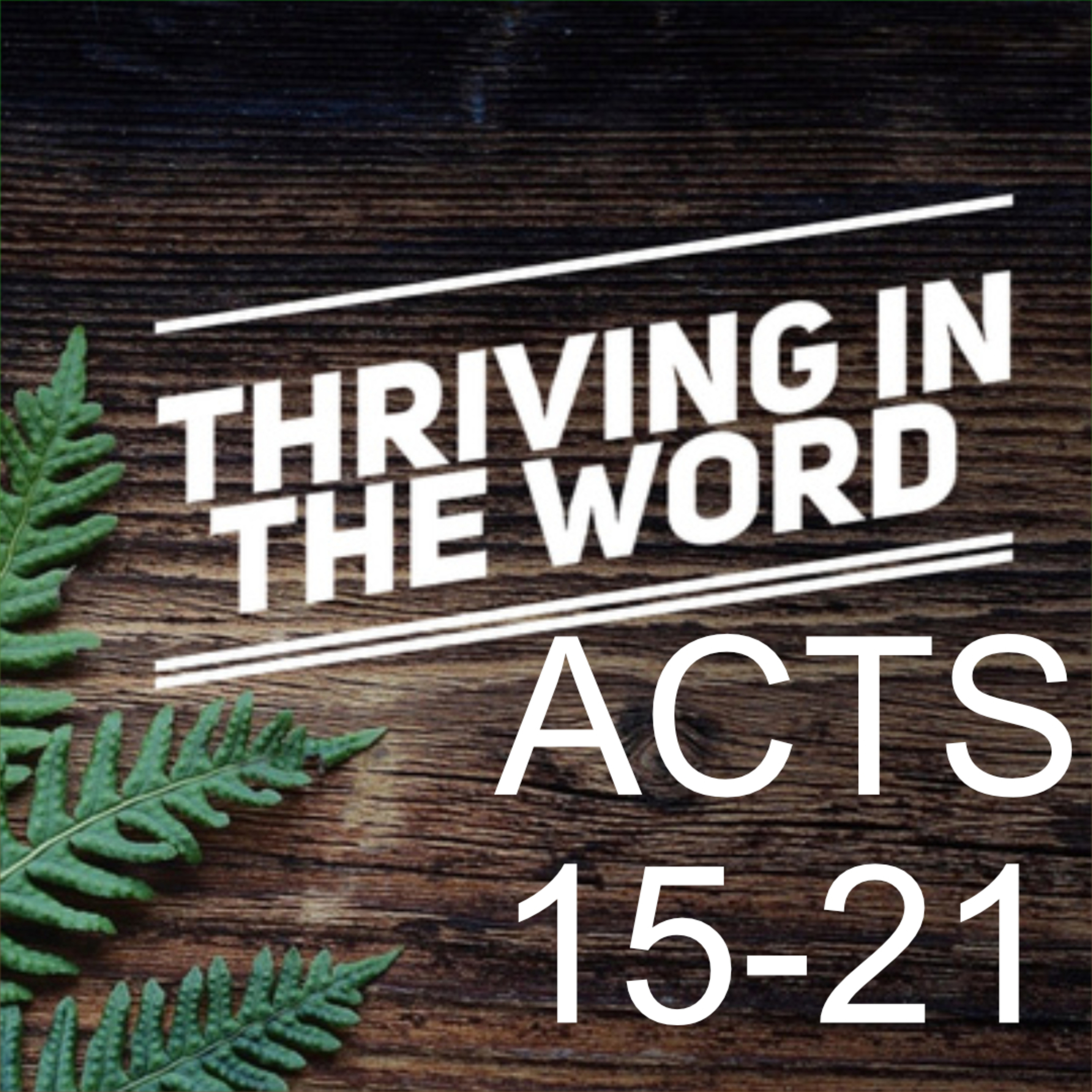 Thriving in The Word