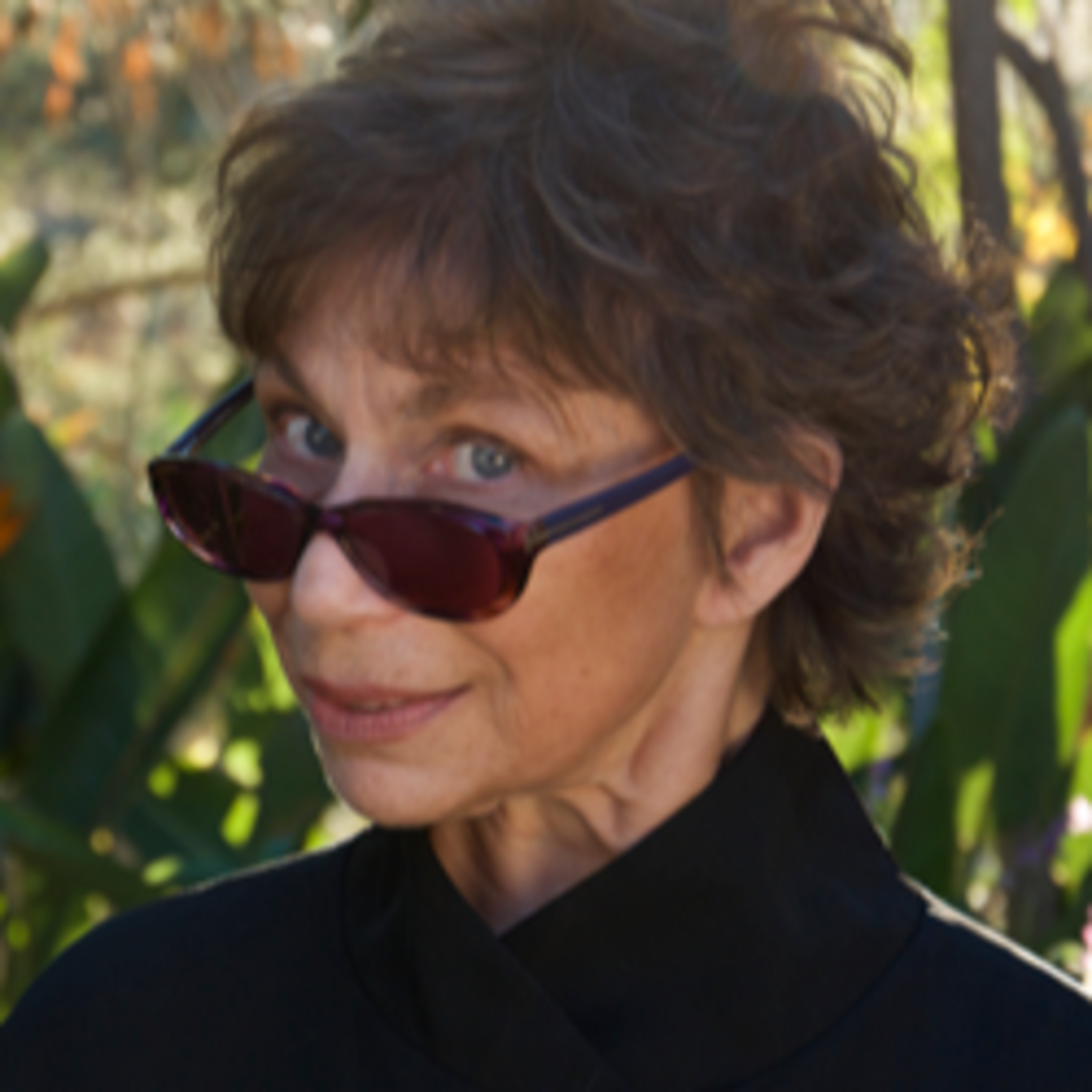 JANET STERNBURG; Author (Looking at Mexico-Mexico Looks Back); Photographer, Poet, Philosopher; World Traveler; California Institute for the Arts; New School; LIVE from California & Mexico episode artwork