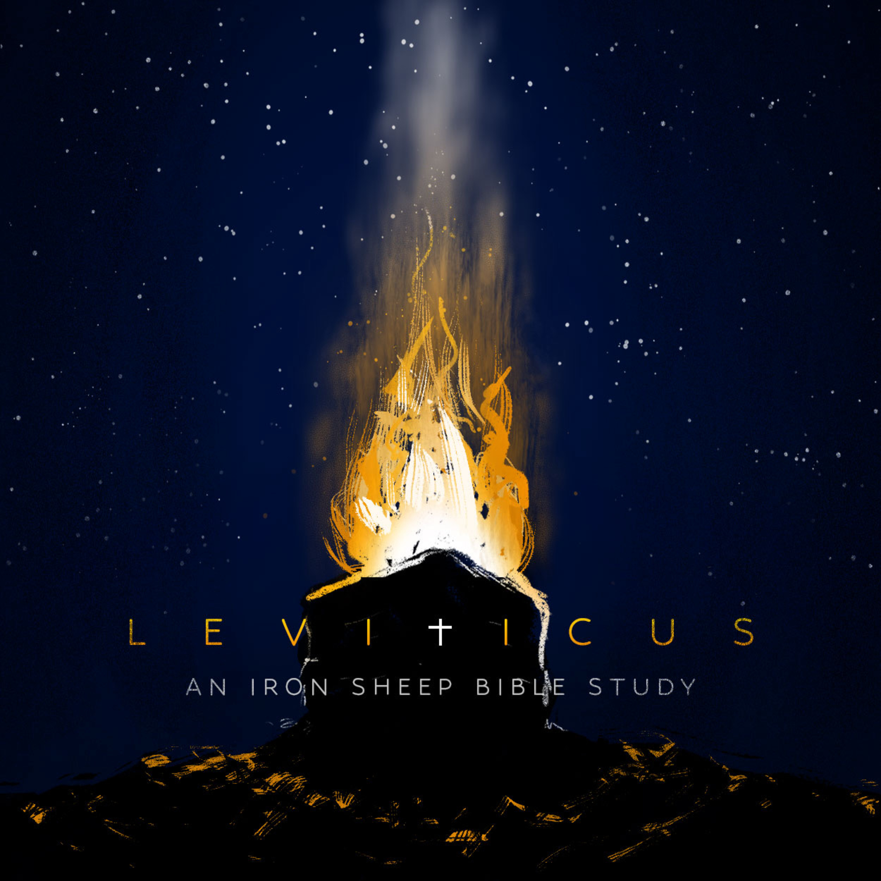 Leviticus 25 Bible Study - Land Sabbath & the Year of Jubilee (Holiness Code) episode artwork