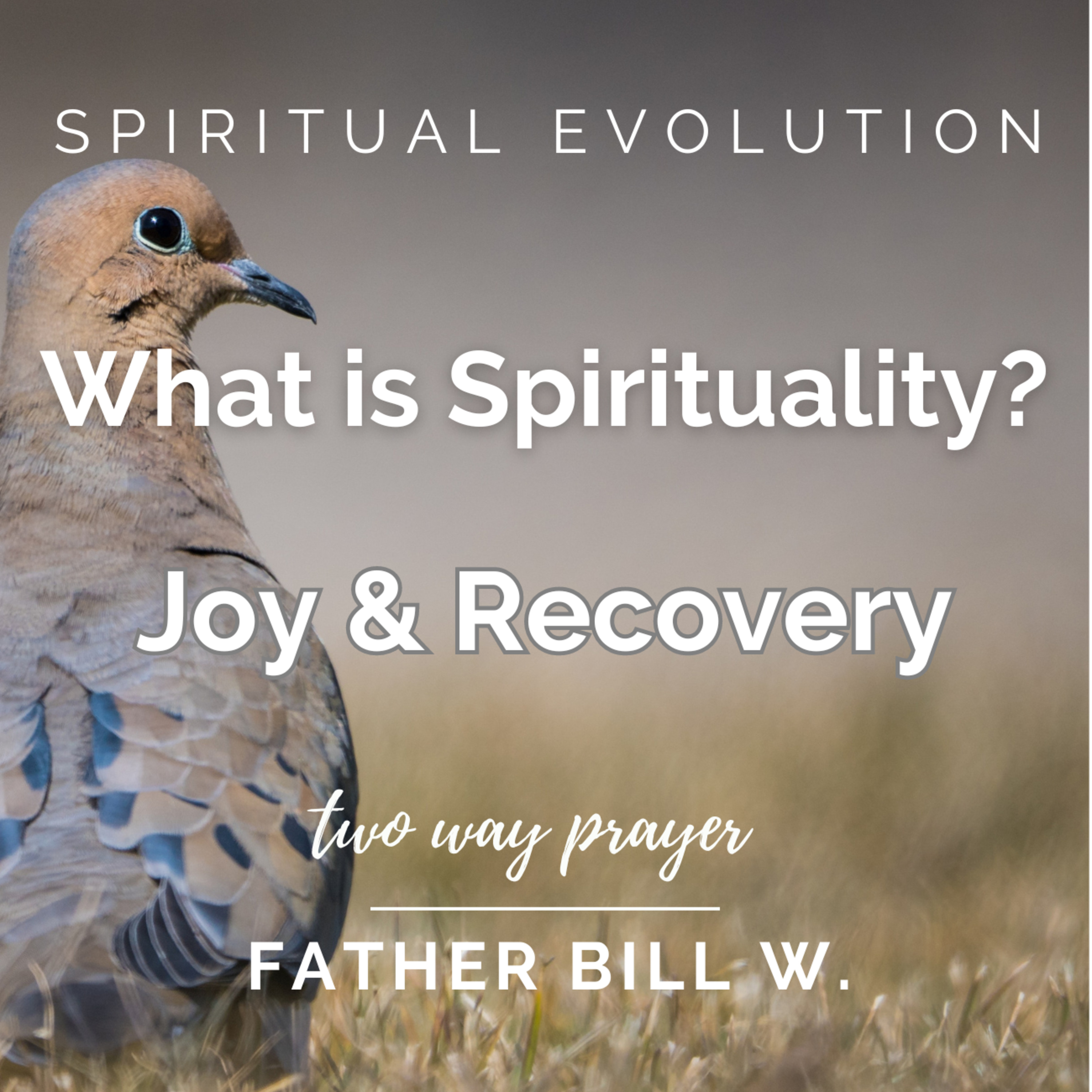 What is Spirituality? Recovery and Joy