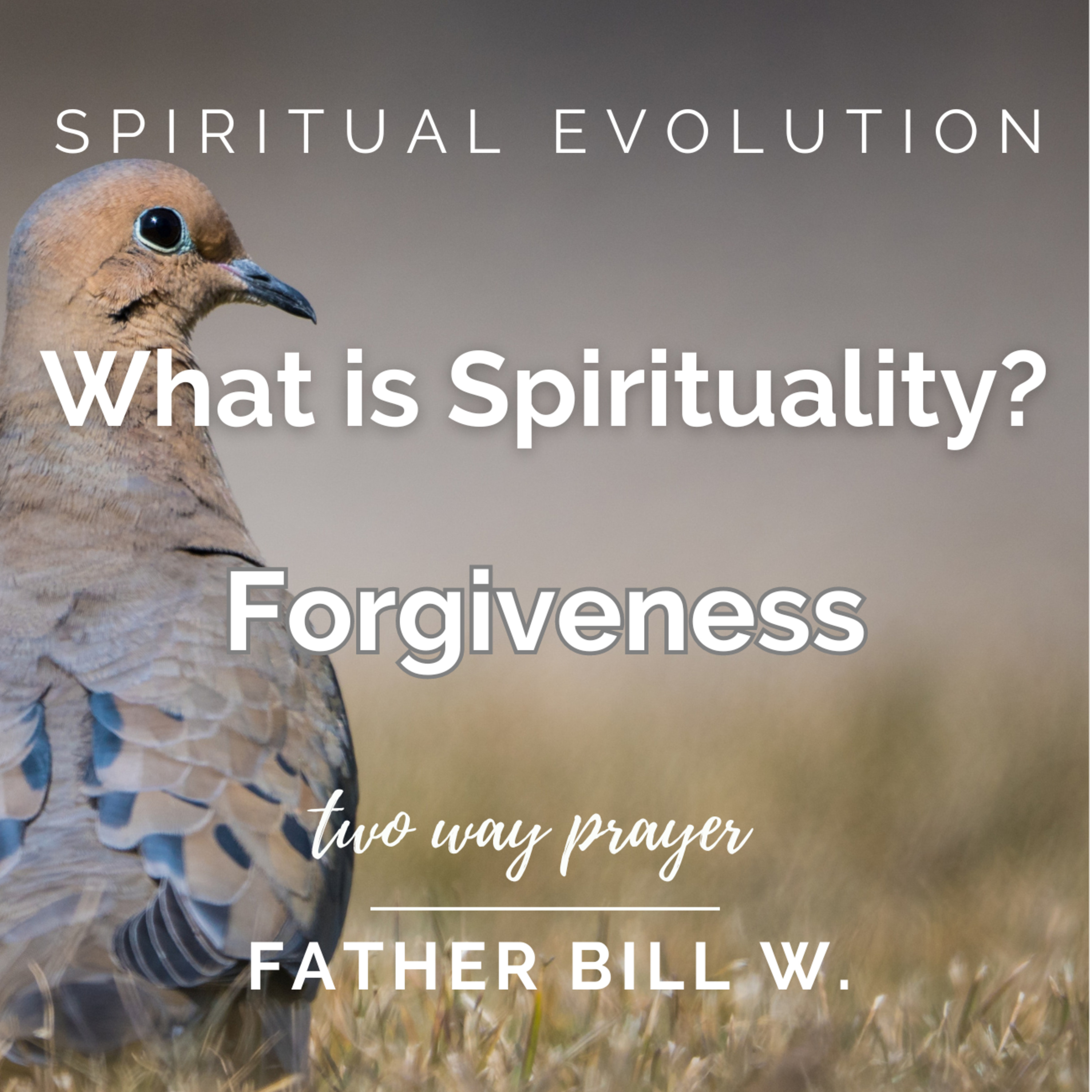 What is Spirituality? Forgiveness