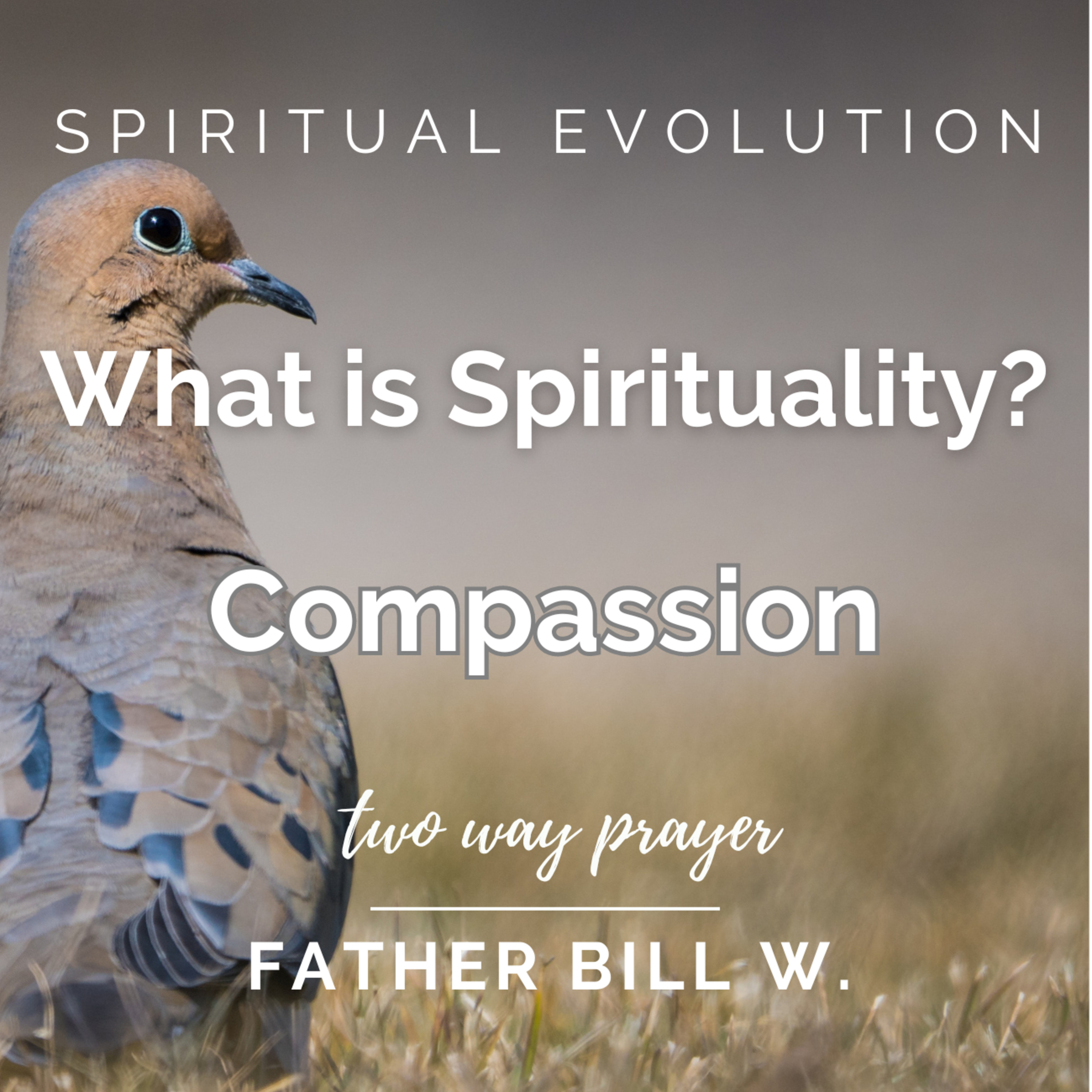 What is Spirituality? Compassion