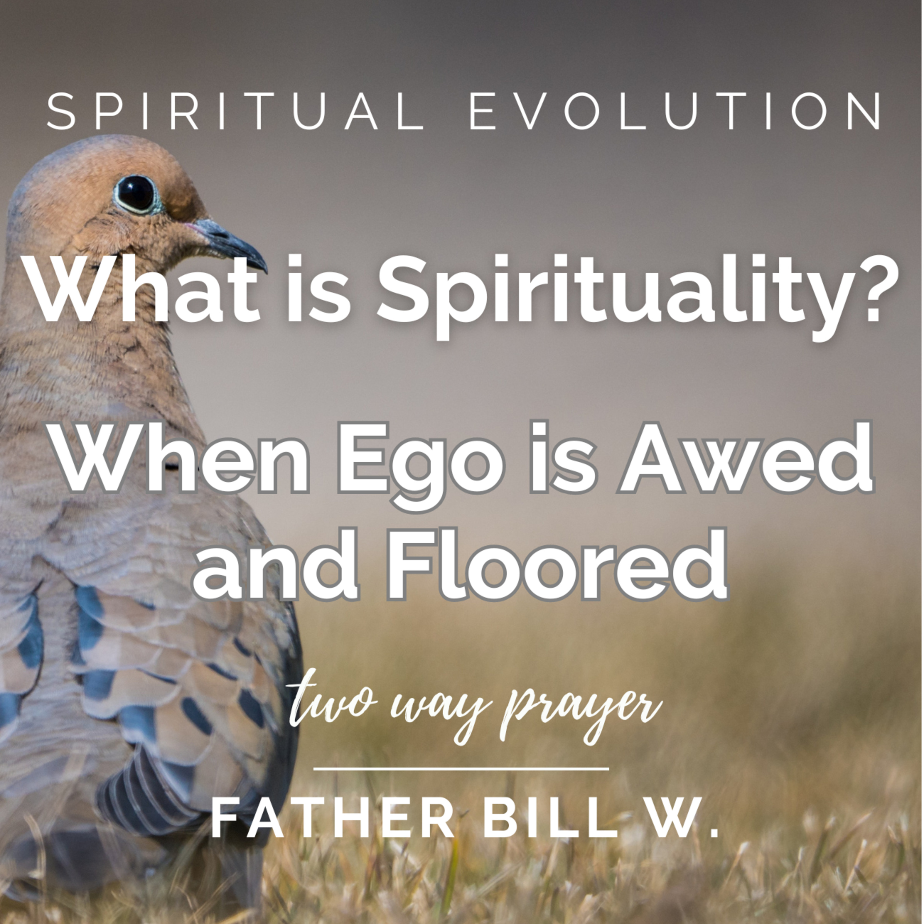 What is Spirituality? When Ego is Awed and Floored