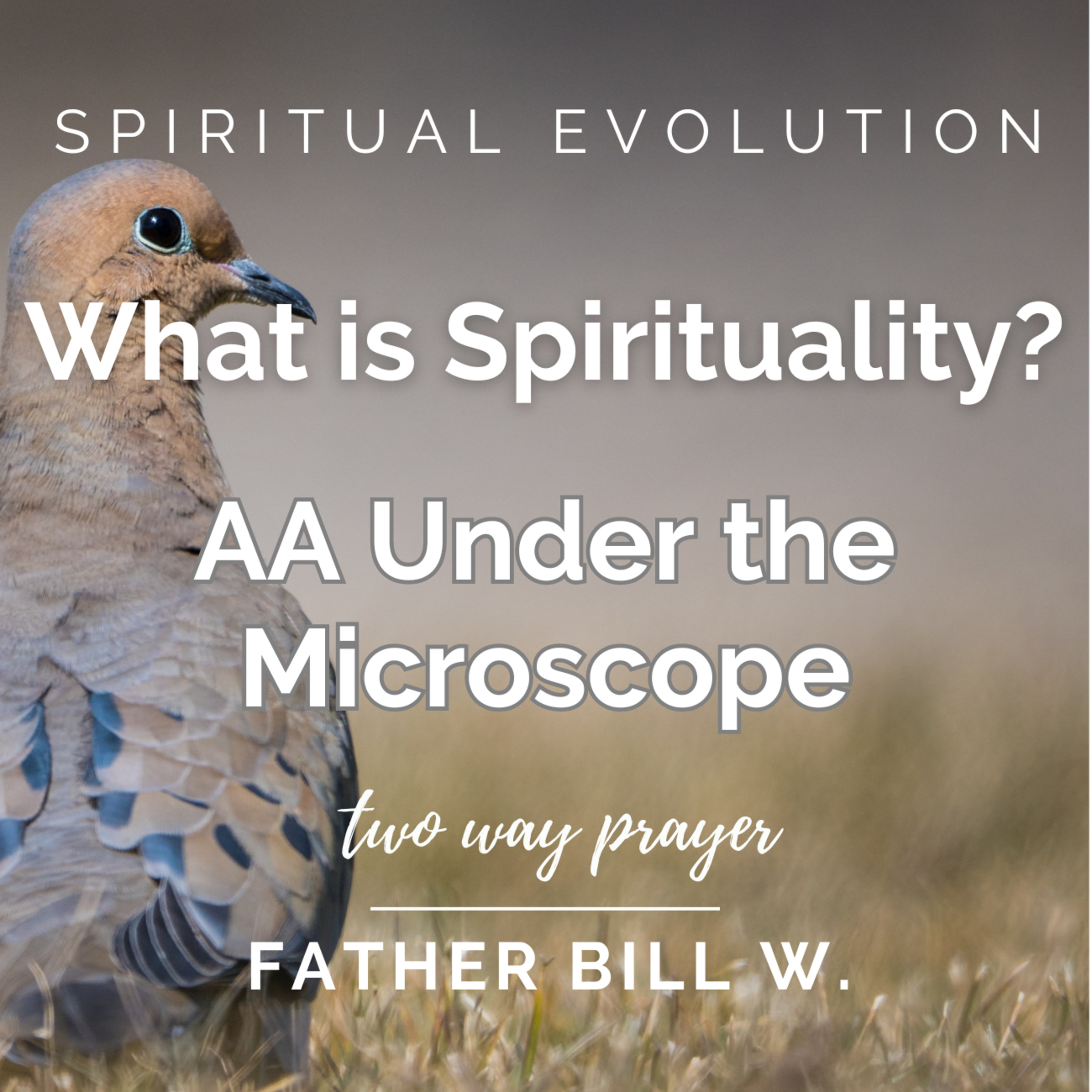 What is Spirituality? AA Under the Microscope