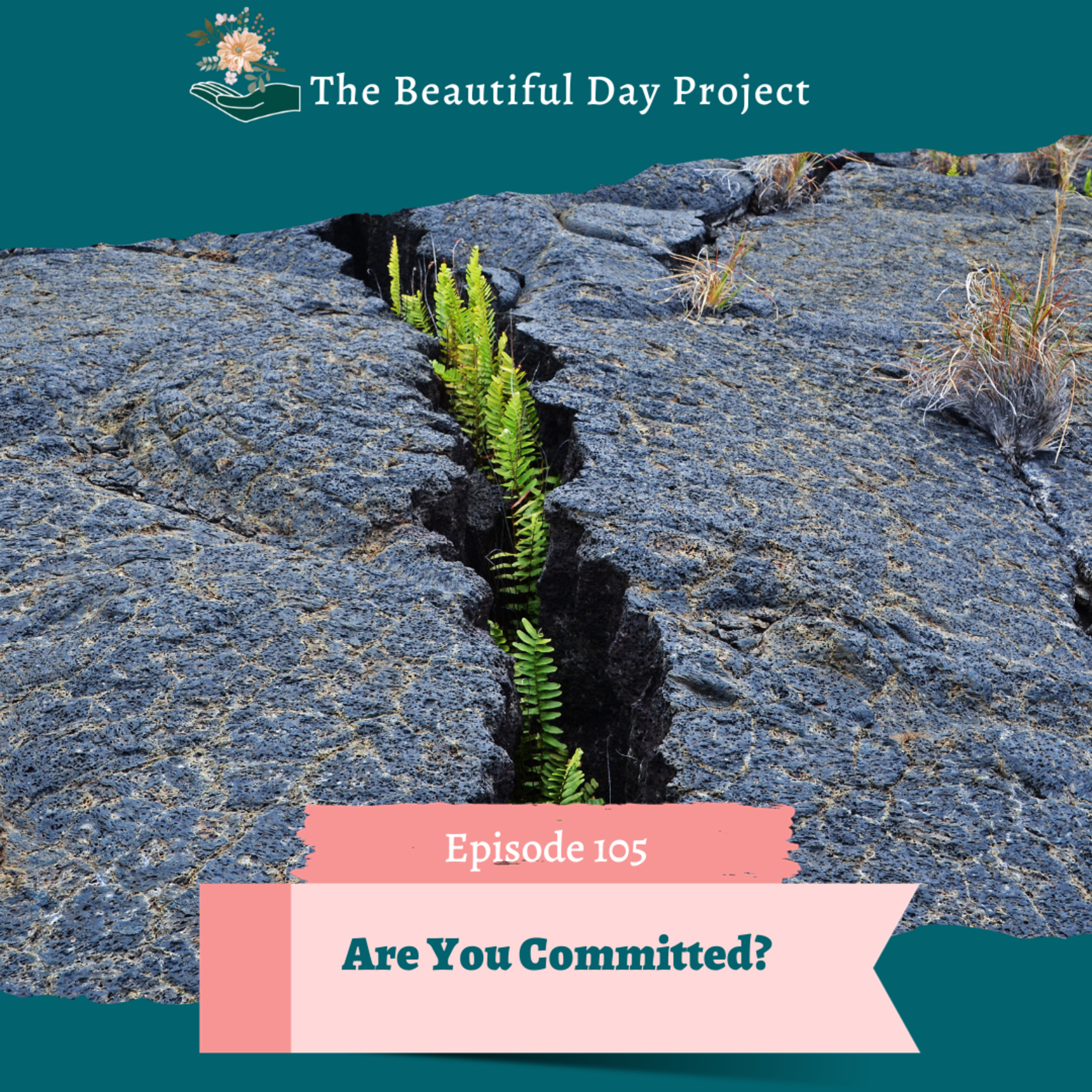 The Beautiful Day Project