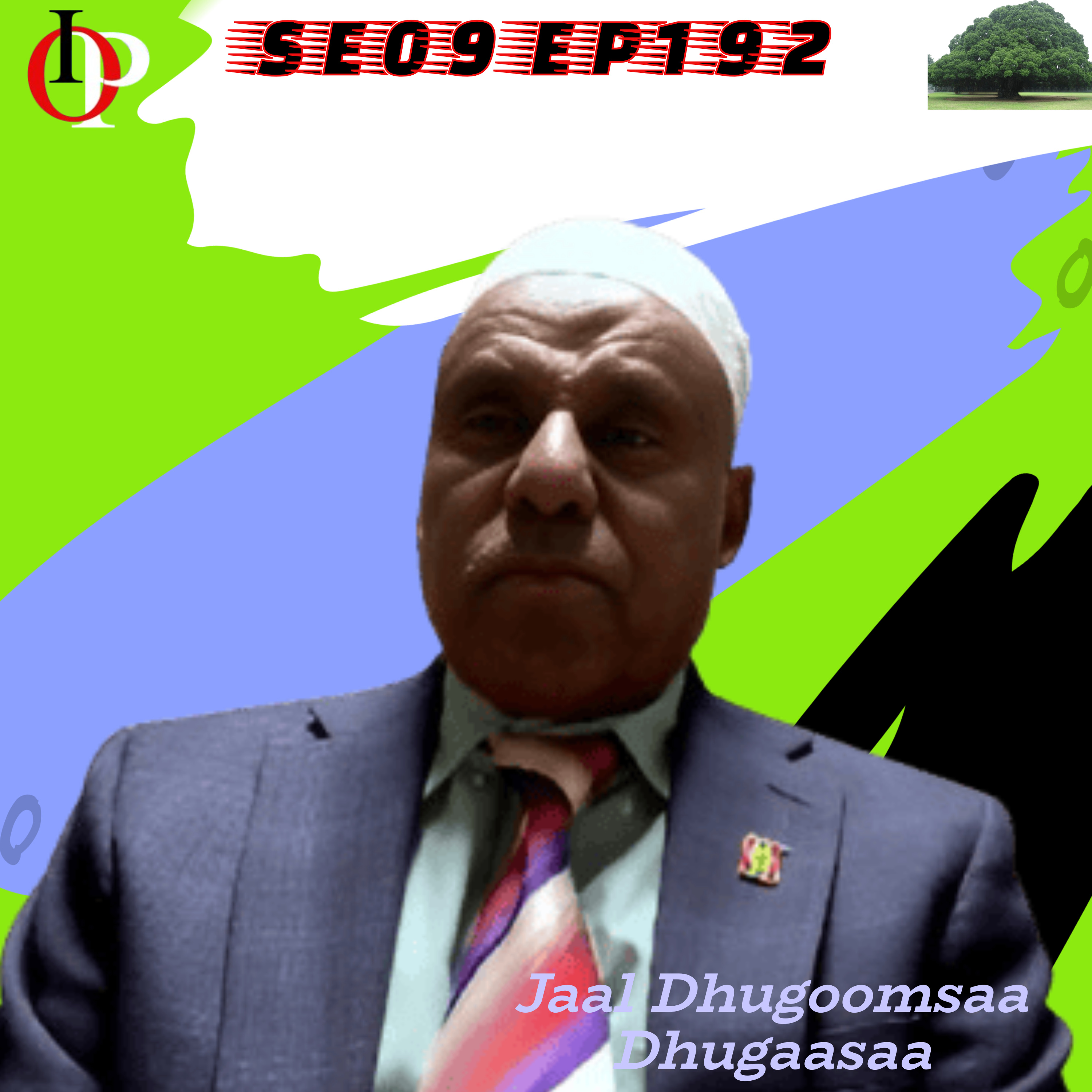 SE09 EP195 Hogganni Amantii, Abbootiin Gadaafii Hayyoonni, Humna Oromo Walitti Hidhuun Amma | 7/7 episode artwork