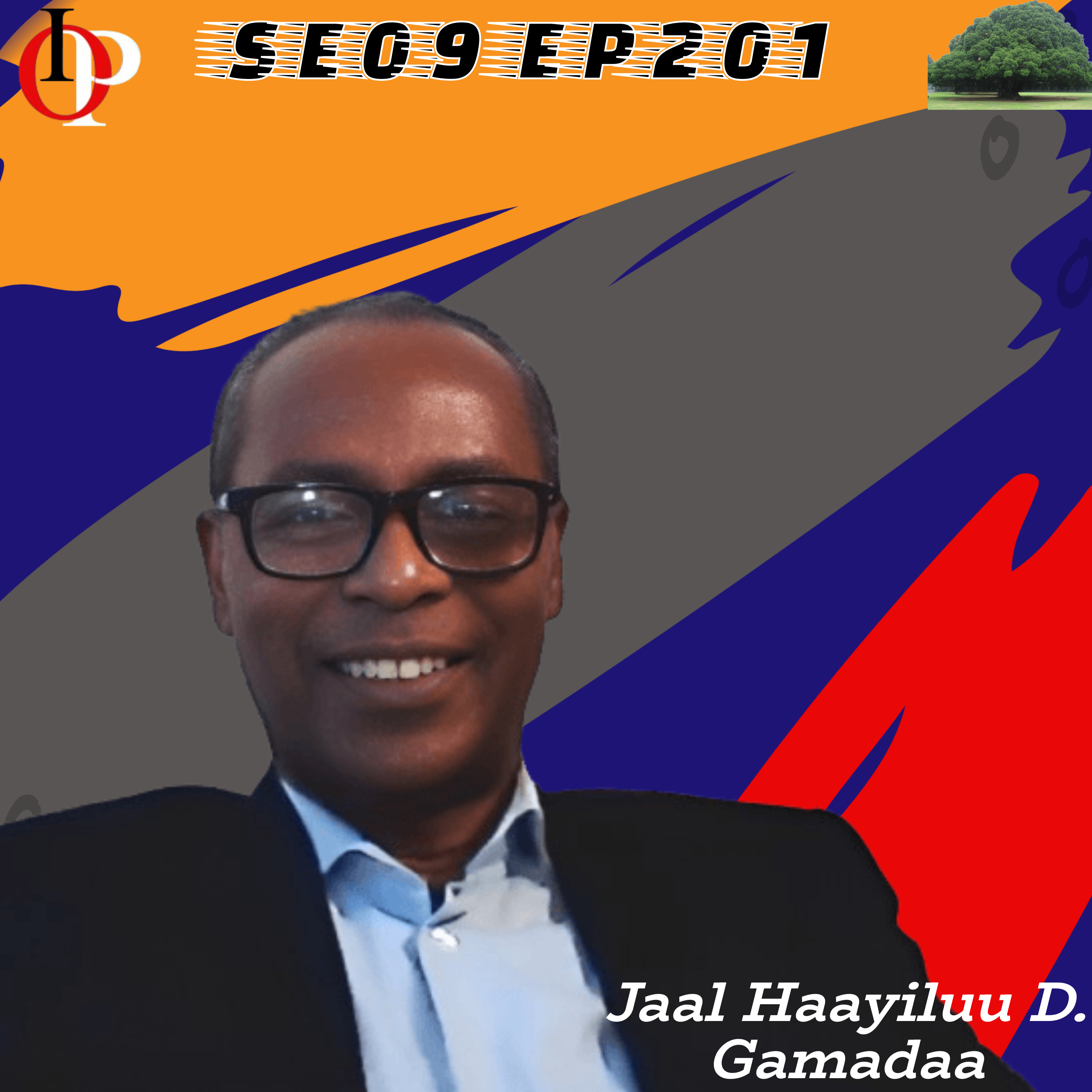 SE09 EP201 Jaal Haayiluu wajjin Turtii Maayii | 9/9 episode artwork