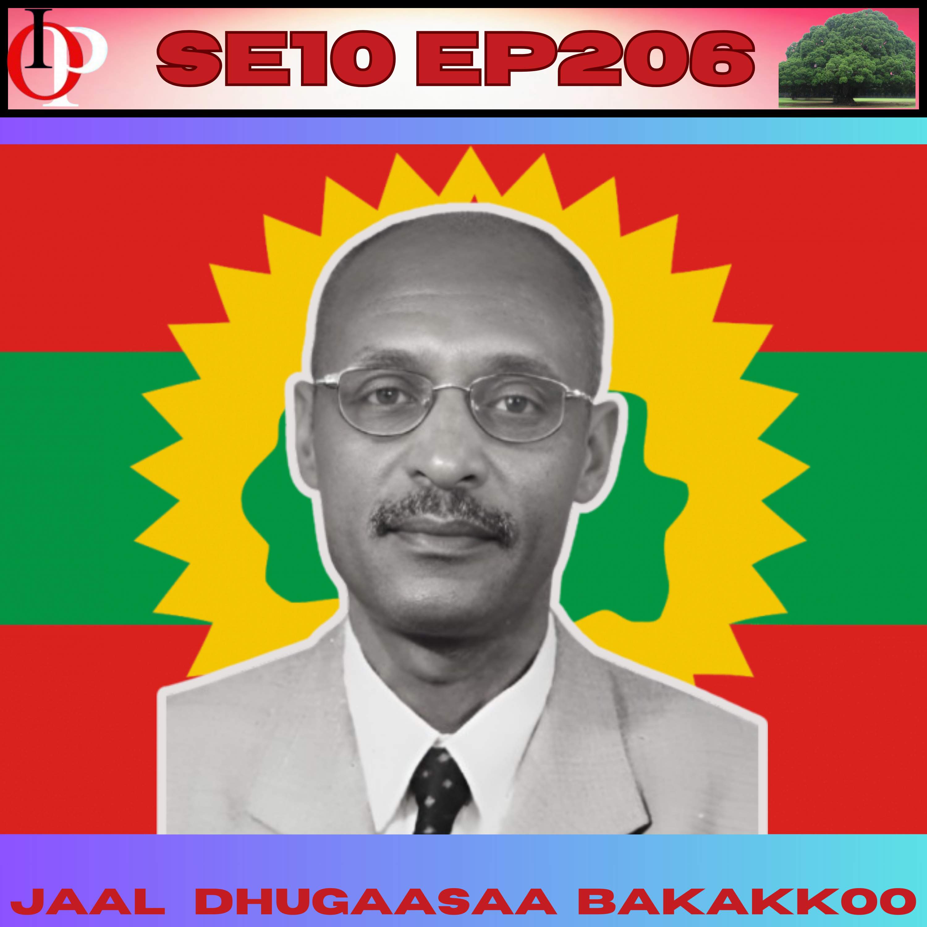 SE10 EP206 Duulli "Qabsoo Hidhannoo Haalagannuu" Lafa Jalaan Oofamaa Ture - J. Dhugaasaa | 4/6  episode artwork