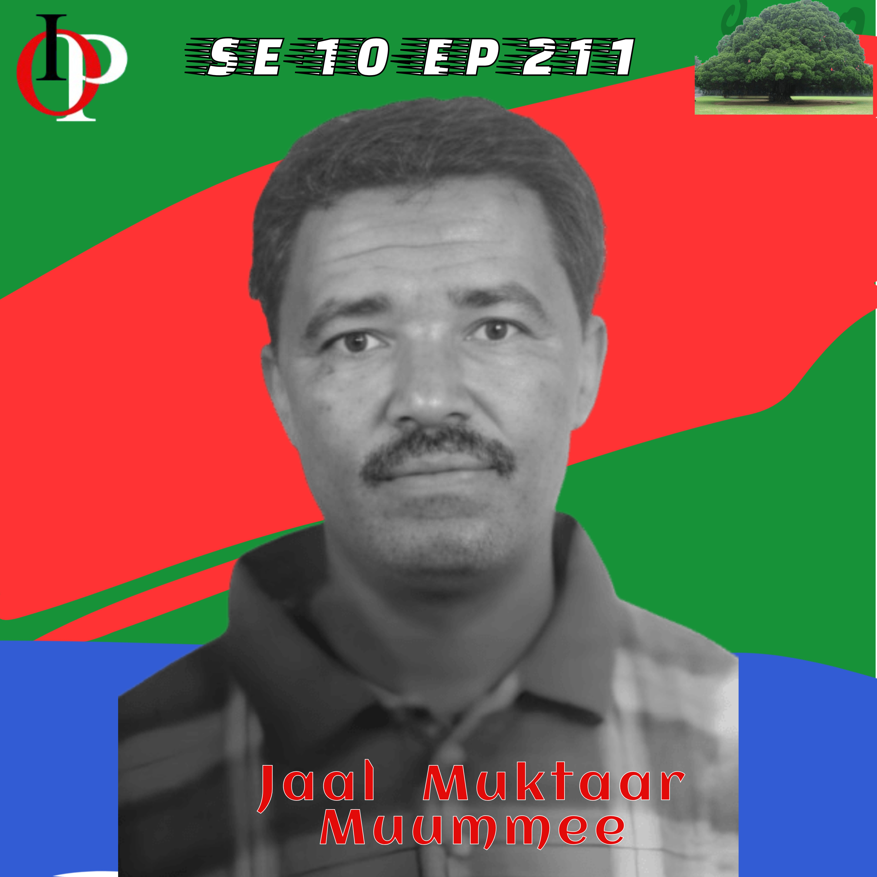 SE10 EP211 Jaal Muktaar - ABOn Maallaqa Bara Cehumsaa Walitti Guuree San Garam Geesse? | 3/5  episode artwork