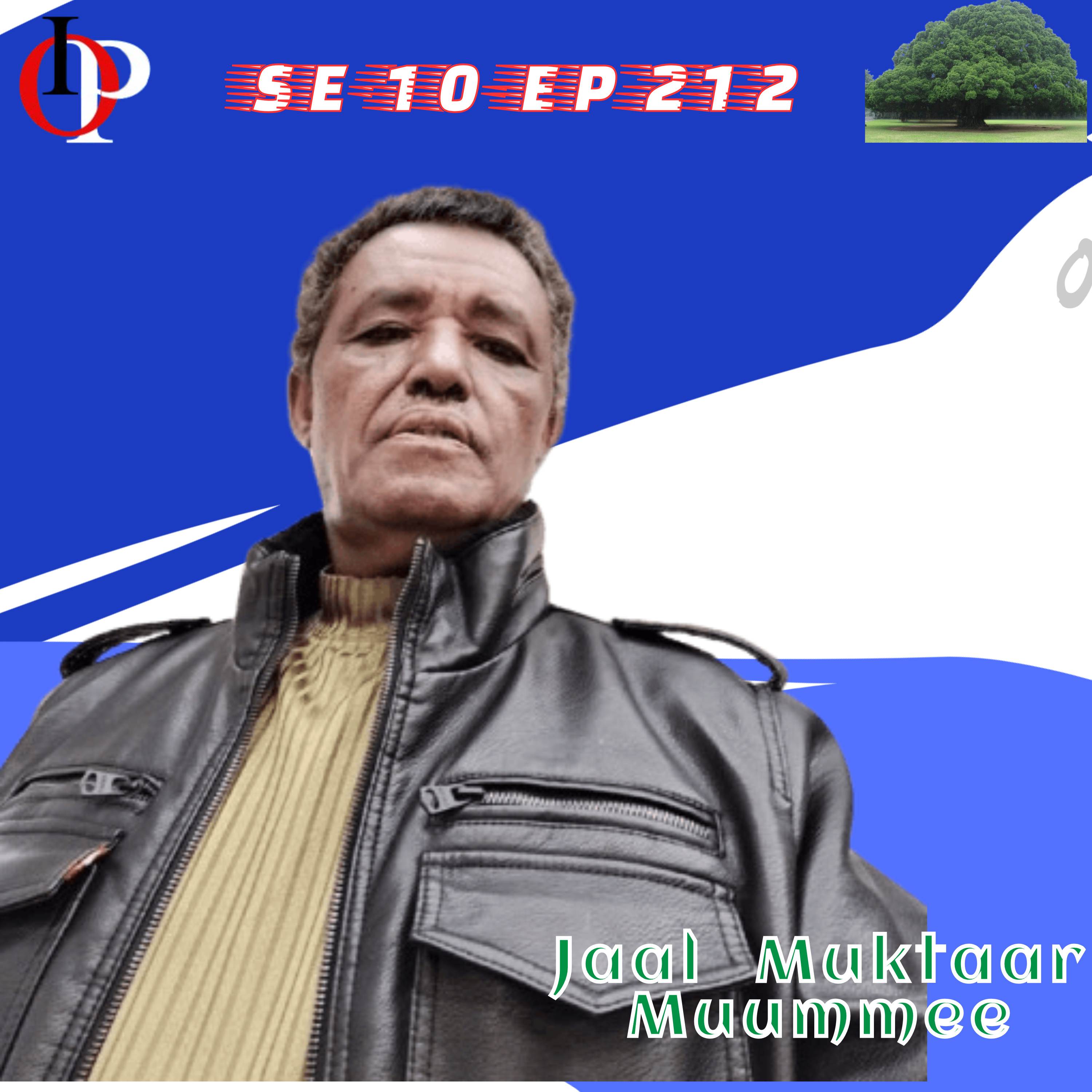 SE10 EP212 Jaal Muktaar- Seenaa Qabsoo Biyyaa Ollaa Keessatti ABOn Gaggeeffamaa Turte || 4/5  episode artwork