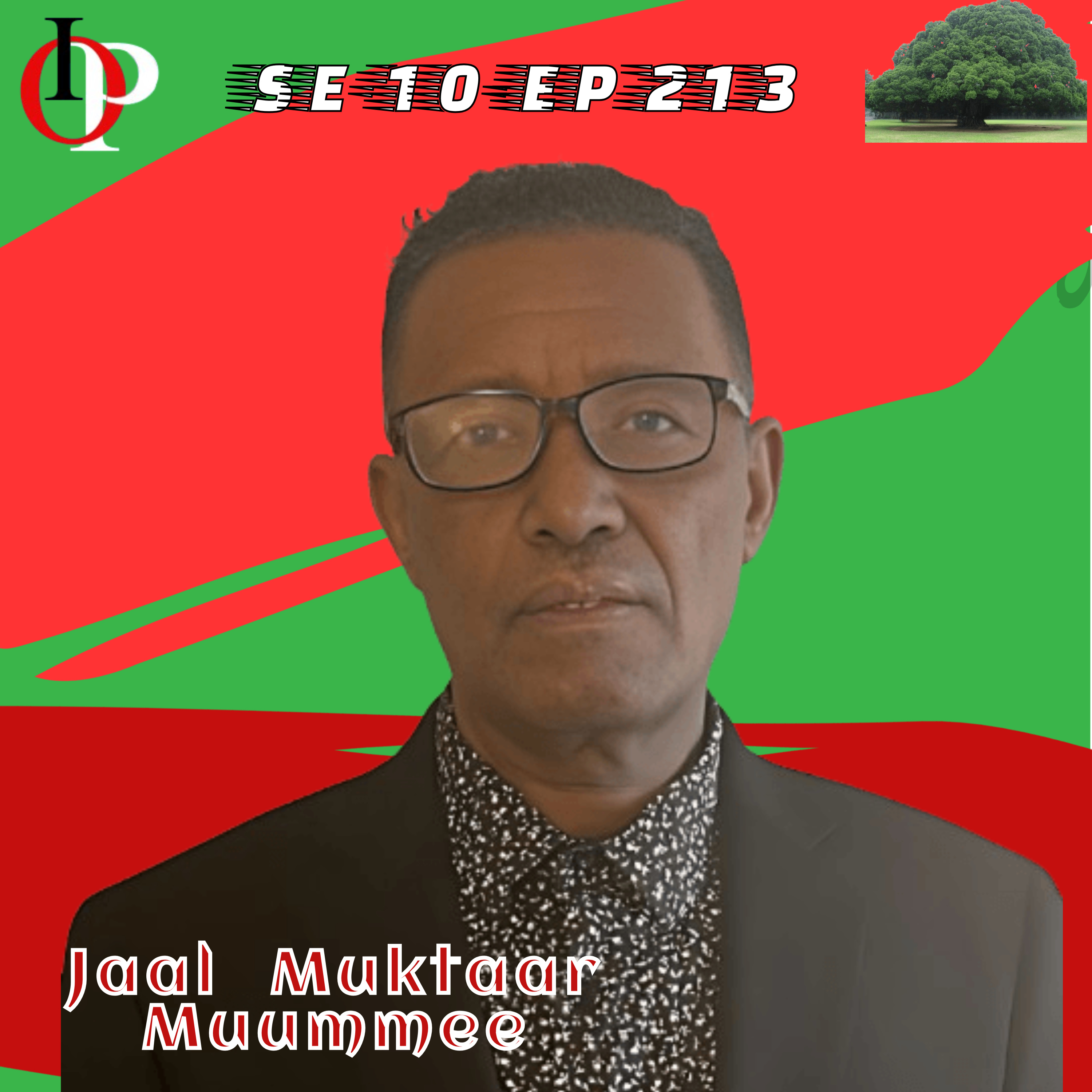 SE10 EP213 Seenaa Qabsoo ABO Waajjira Yaman Jalatti Gaggeefamaa Ture - Jaal Muktaar Wojjin | 5/5  episode artwork