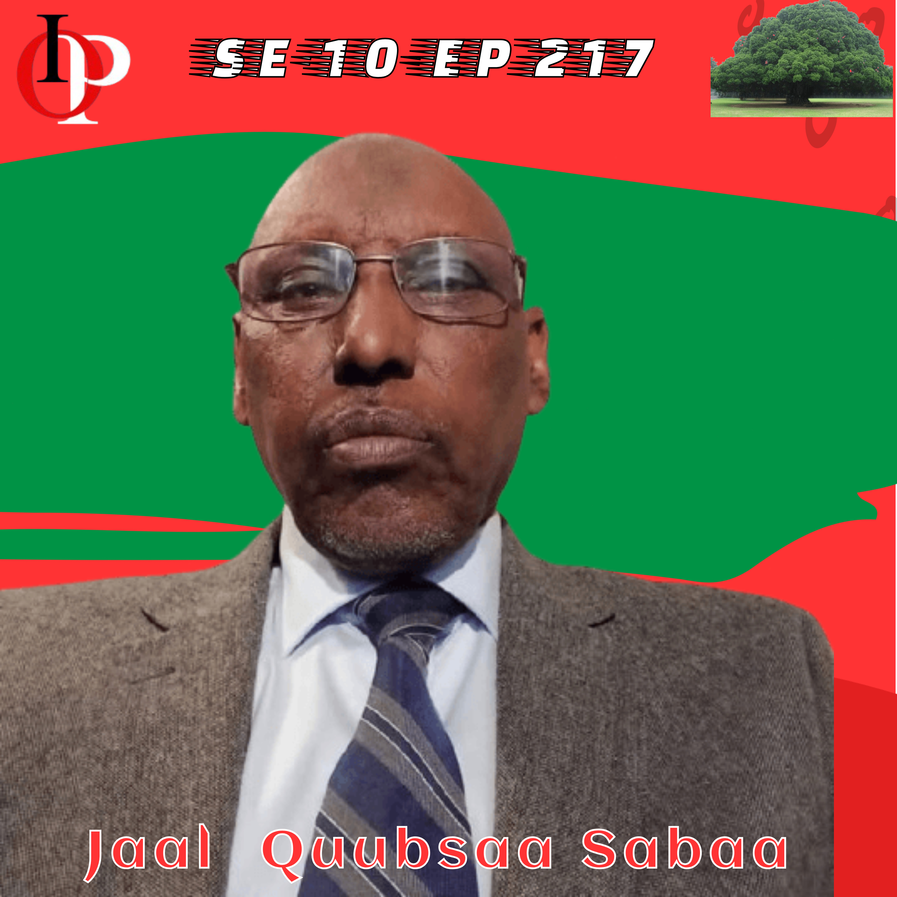 SE10 EP217 Seenaa Qabsoo Bara DARGU ABOn Gaggeeffamaa Ture- Jaal Quubsaa Sabaarraa | 2/3  episode artwork