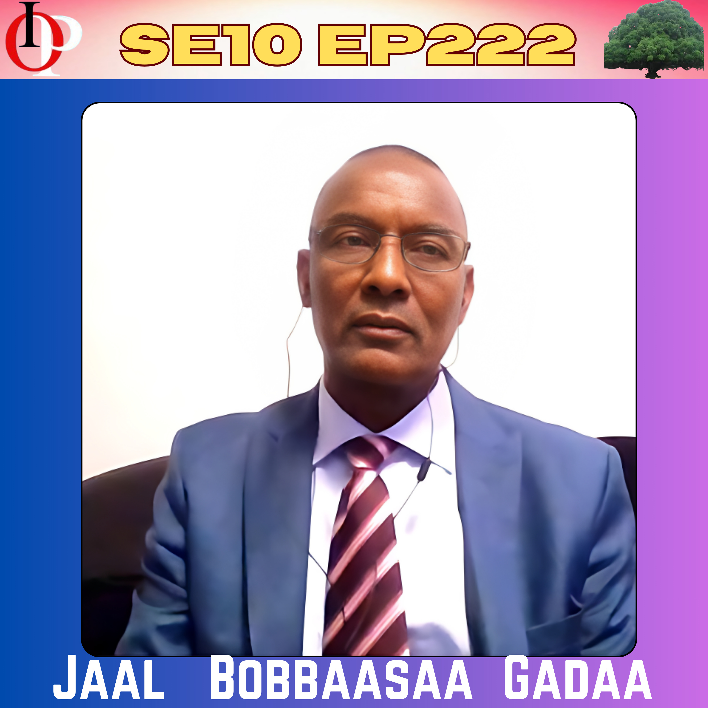 SE 10 Ep222 Seenaa Qabsoo Bilisummaa ABOn Hogganamaa Ture J. Bobbaasaa Gadaarraa | 1/1  episode artwork