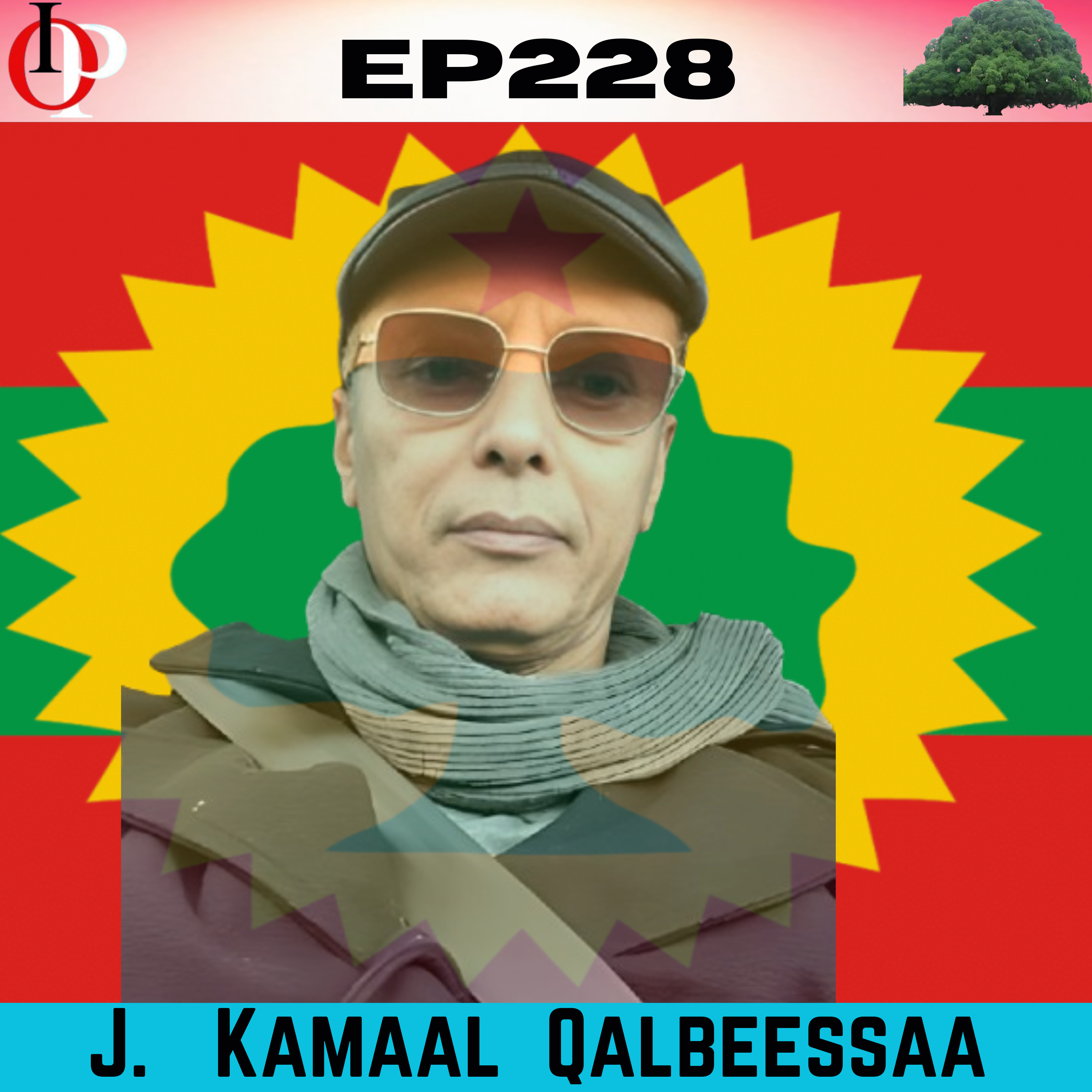 SE10 EP228 J. Kamal - Silaa Hogganni Dursee Karoorfate, Hamma Gimbiit Numa Dhuunfanna ture | 1/1 episode artwork