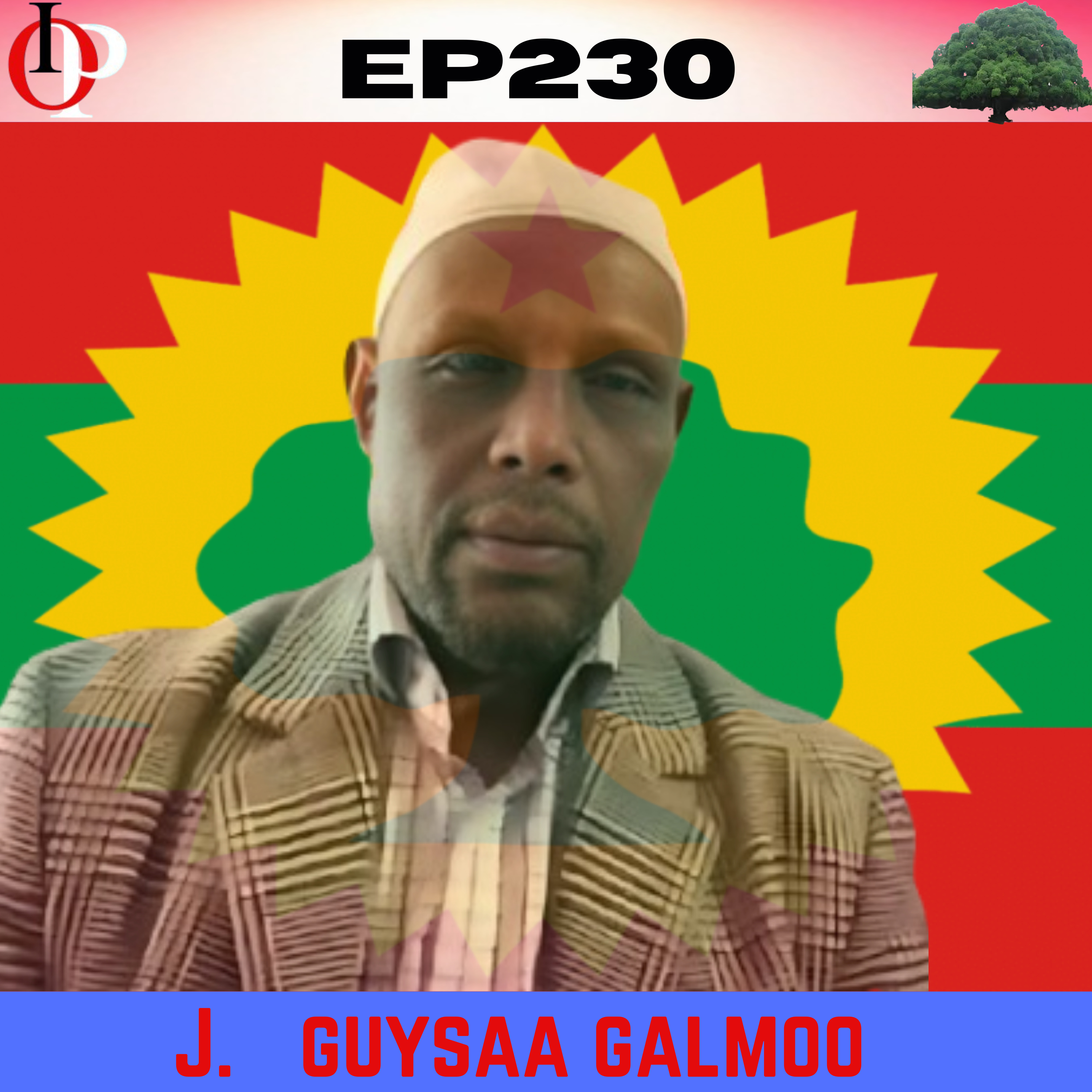 EP230 J. Guysaa Galmoo Wajjin Seenaa Qabsoo Bilisummaa Godina Bahaa Keessatti Gaggeeffame | 1/1 episode artwork
