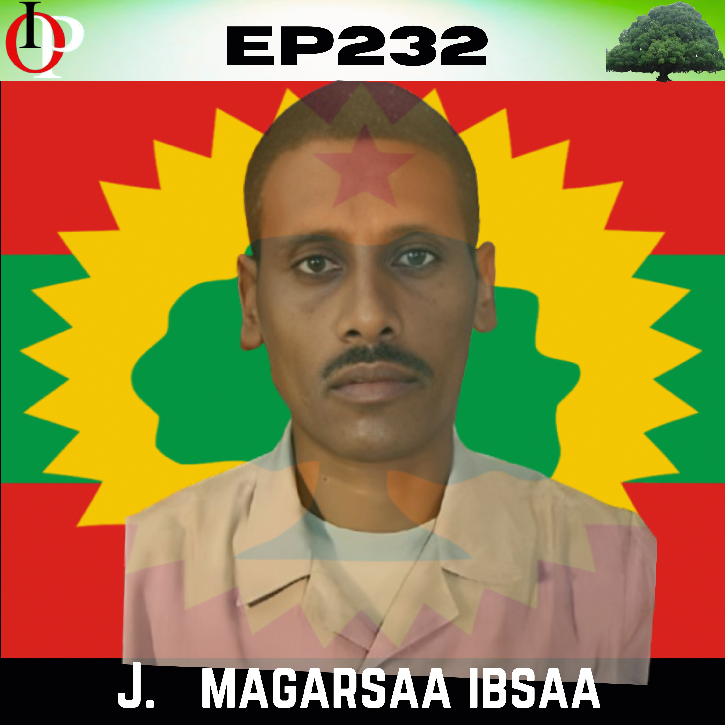 Ep232 Jaal Magarsaa - Warri ABO "Ilmaan Abbaa Lafaati" Jachaa DARGUUn Ummatatti Himaa Ture | 2/4 episode artwork