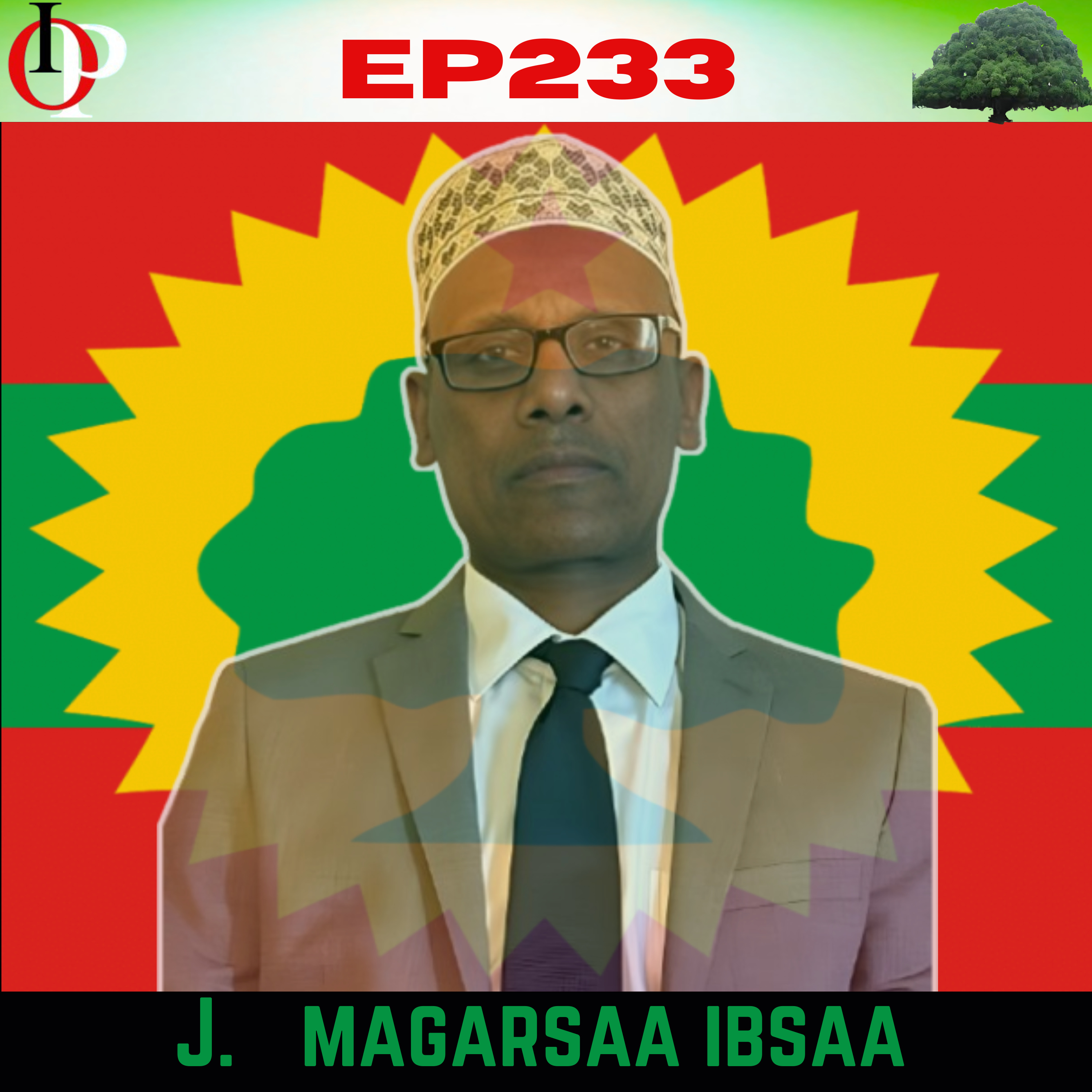 Ep233 Jaal Magarsaarraa Faca'iinsa Chaartaraan Boodaa fi Bobbaa Biyyoota Ollaa Keessatti | 3/4 episode artwork