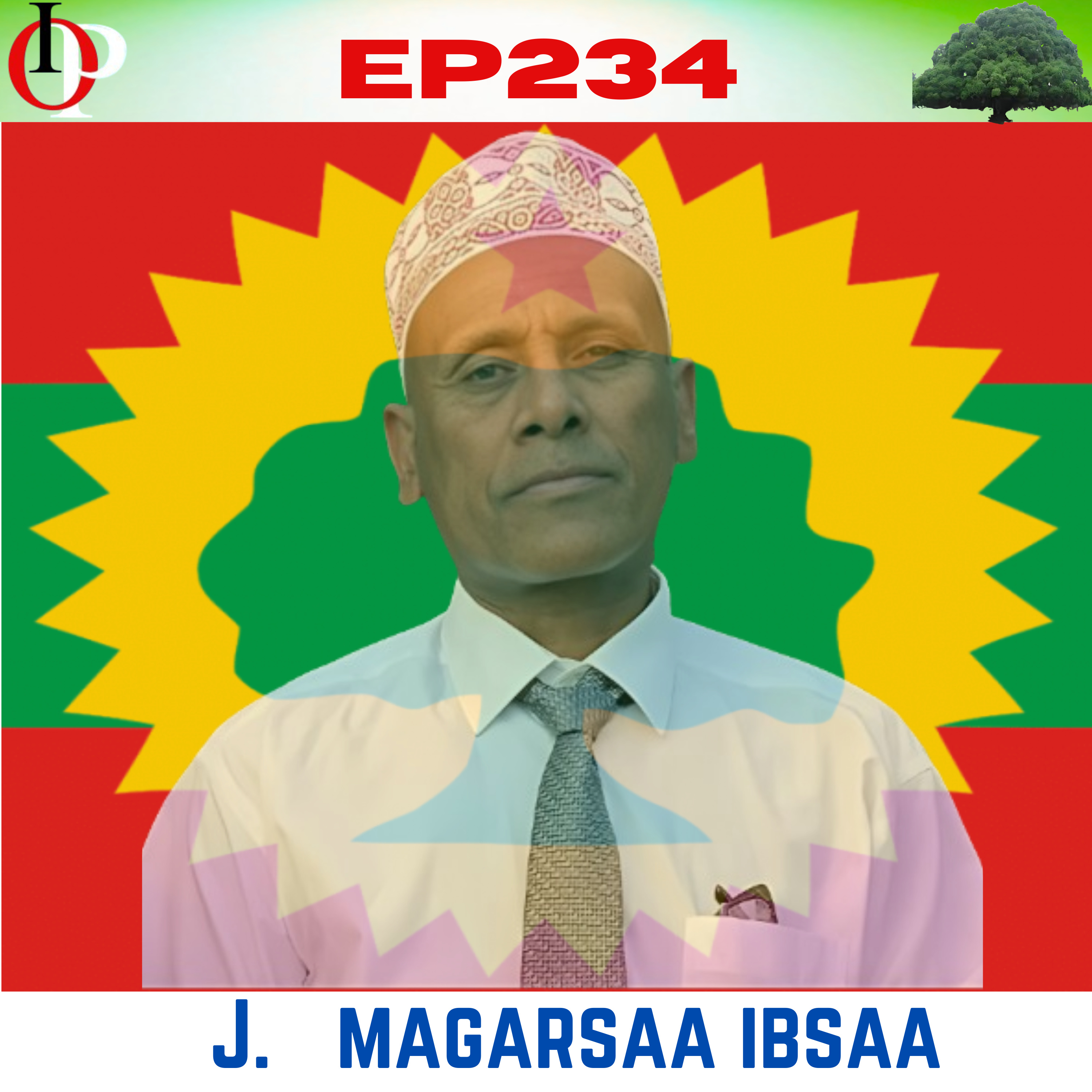 Ep234 "Wolqixxee, Wolfixxe! " Jadha J. Magarsaan Waahee Gartuulee ABO keessaa Hoggu Yaadatu | 4/4 episode artwork