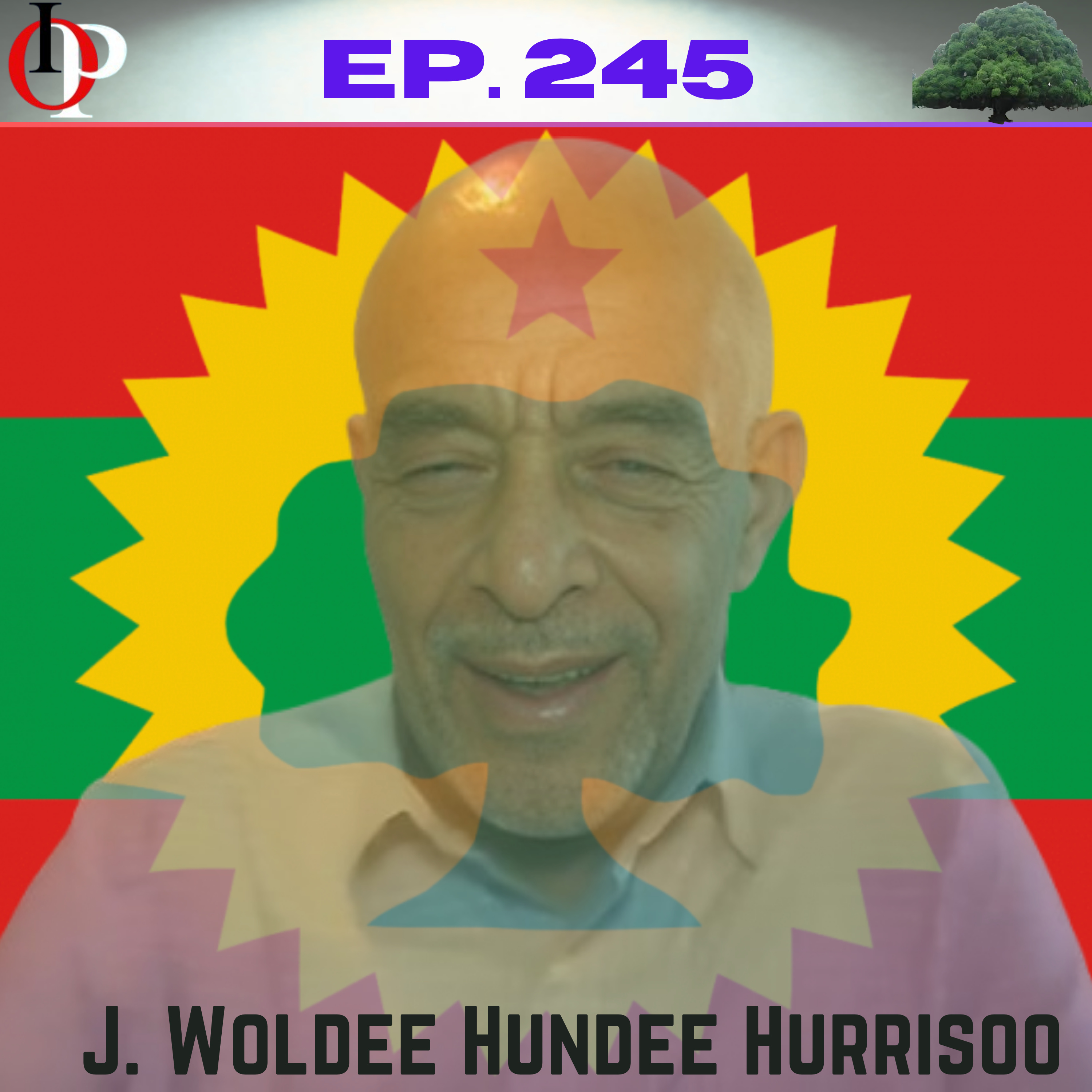 Ep. 245 "Amma Booda Qabsoon Oromoo Karaa Booleen Malee Karaan Baalee Hinjirtu " L. L. | 8/9 episode artwork