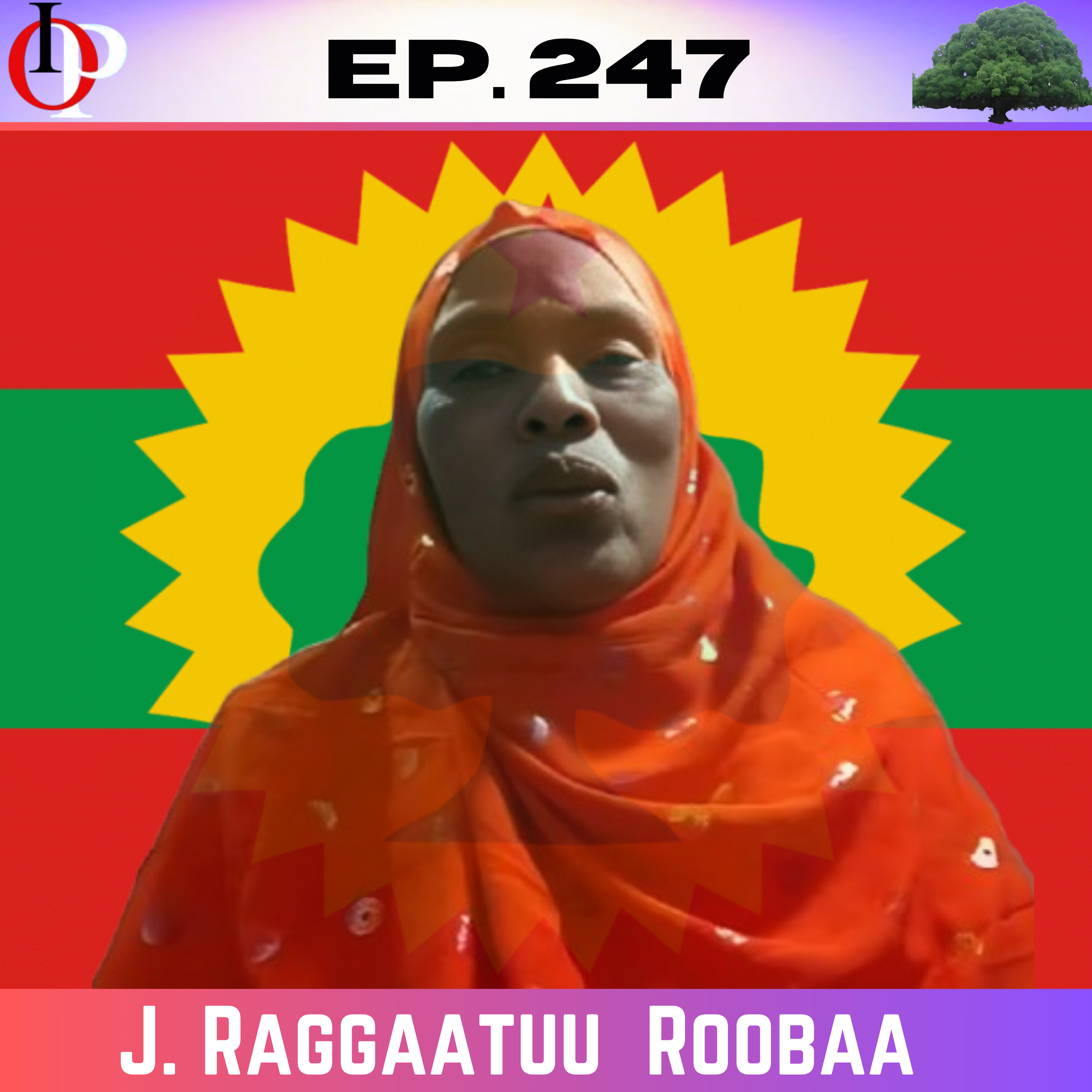 Ep. 247 Dhiira Bobbaasnes-Galchinees. Bilisummaa Keenyaaf Jacha Muka,Qocaafi Karkarroo Nyaanne |1/1  episode artwork