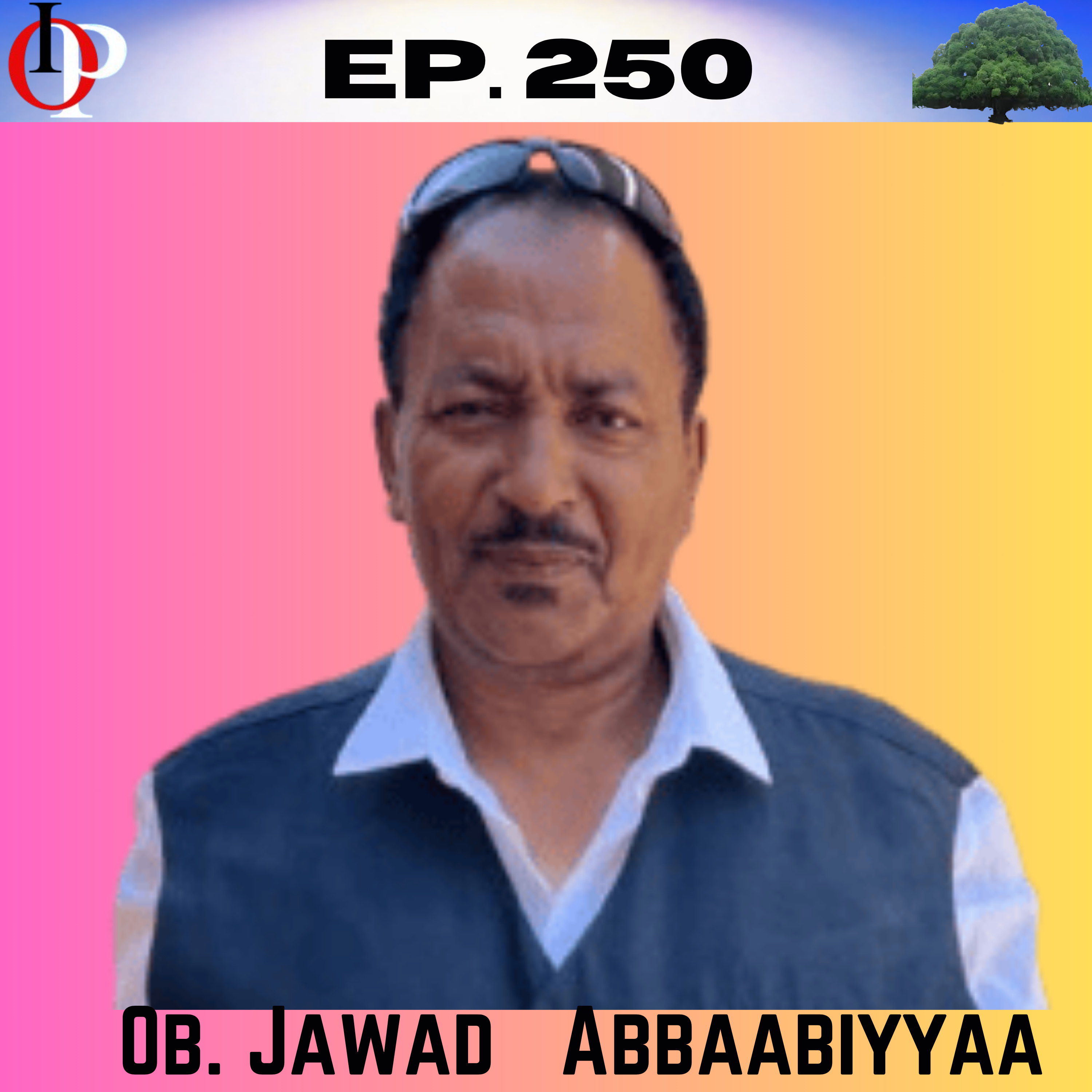 Ep. 250 Ob. Jawad Abbaabiyyaa Abbaabor - Itti ukkaamsii Qabii- Mee Haabahuu | 3/3 episode artwork