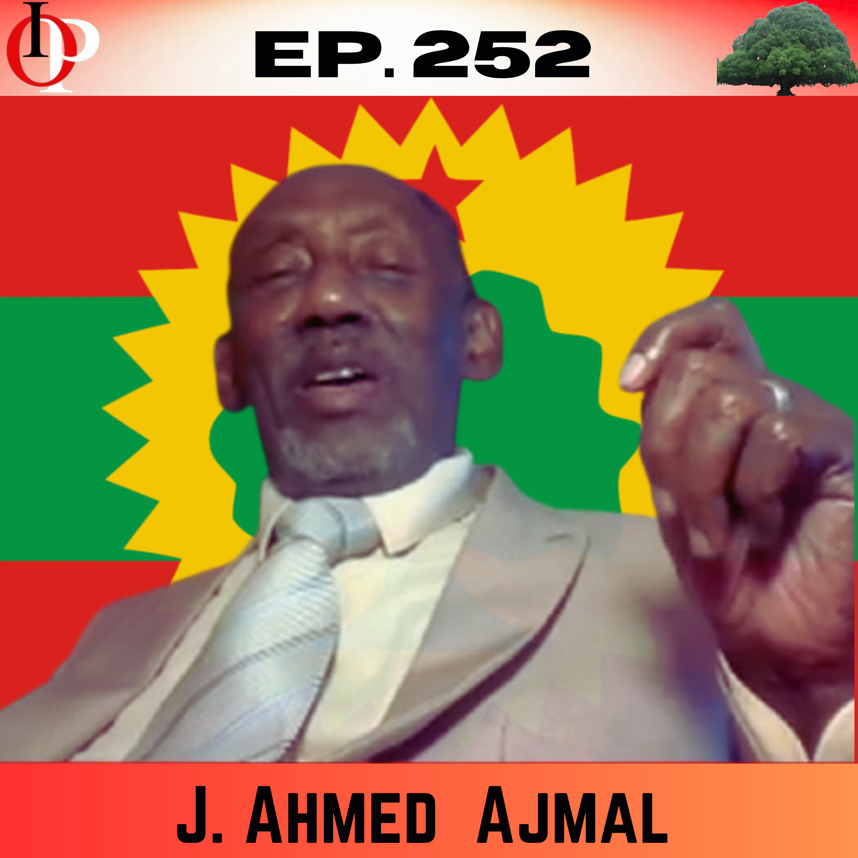 Ep. 252 Aangoorra Turuuf Nama Isa Tinn'isu Barbaada; Kaanis Nama Naannoosaa Amana - J. Ahmed | 2/2  episode artwork