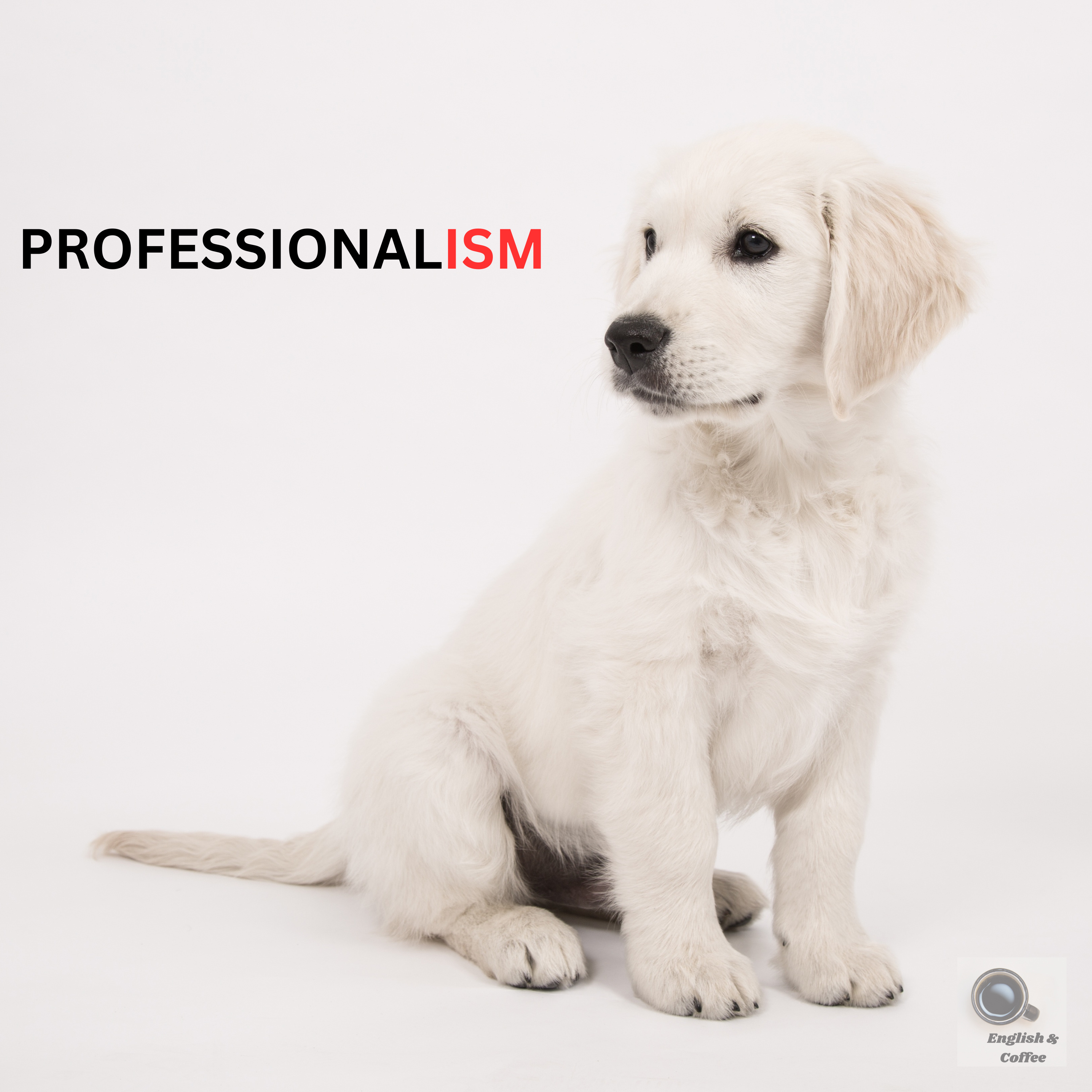 Professionalism episode artwork
