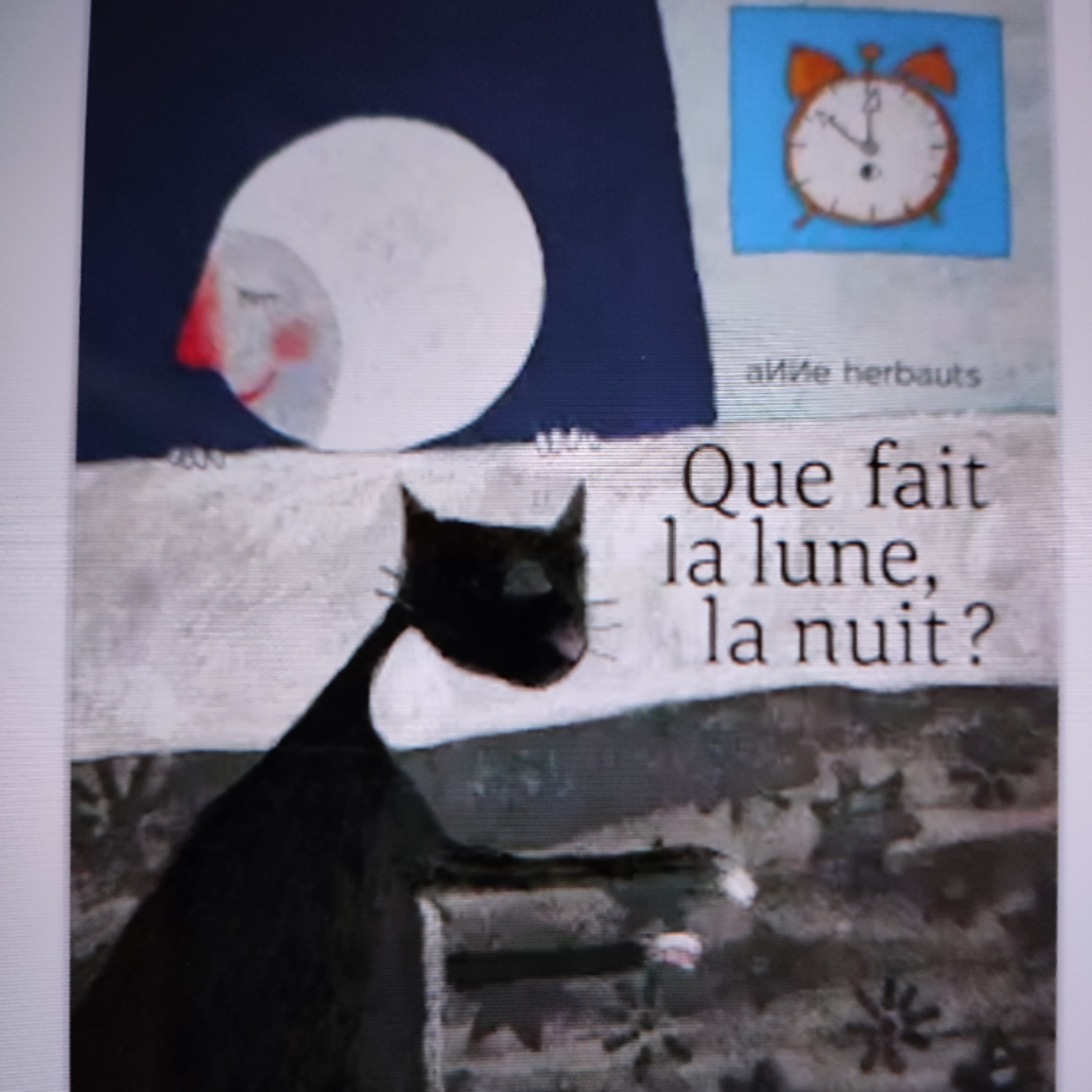 403 Que fait la lune , la nuit ?🌃 de Anne Herbauts . Le jour elle dort , d'accord, mais la nuit ? episode artwork