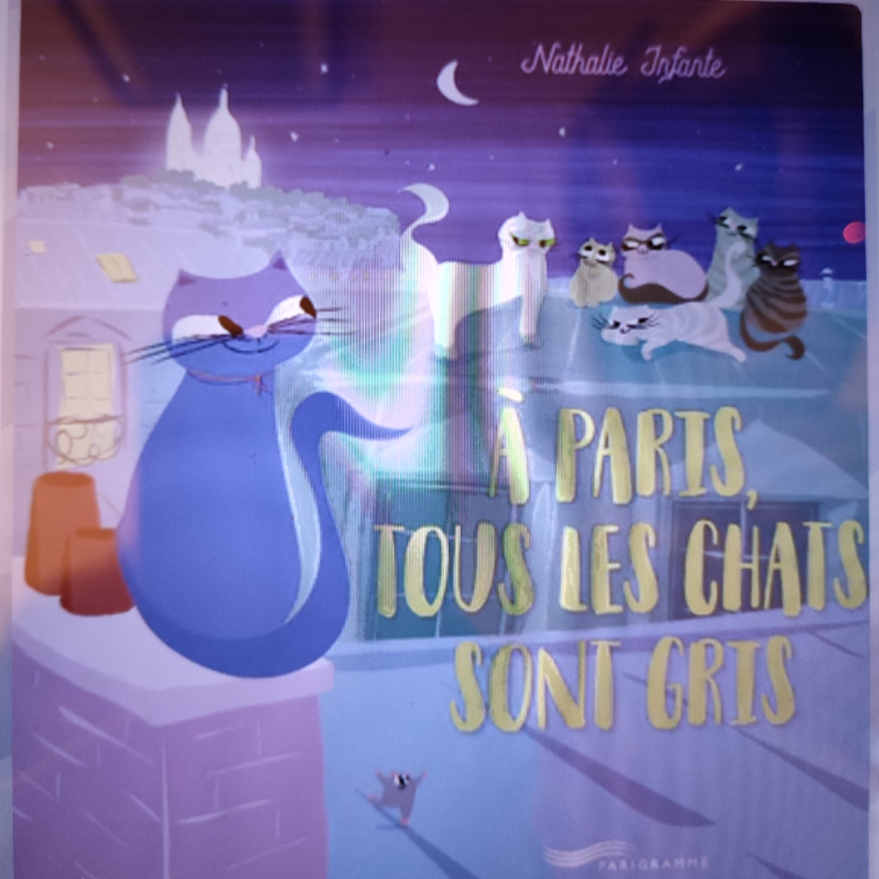 407 A Paris , tous les chats sont gris de Nathalie Infante . Le chat Pacha rêve de liberté ... episode artwork
