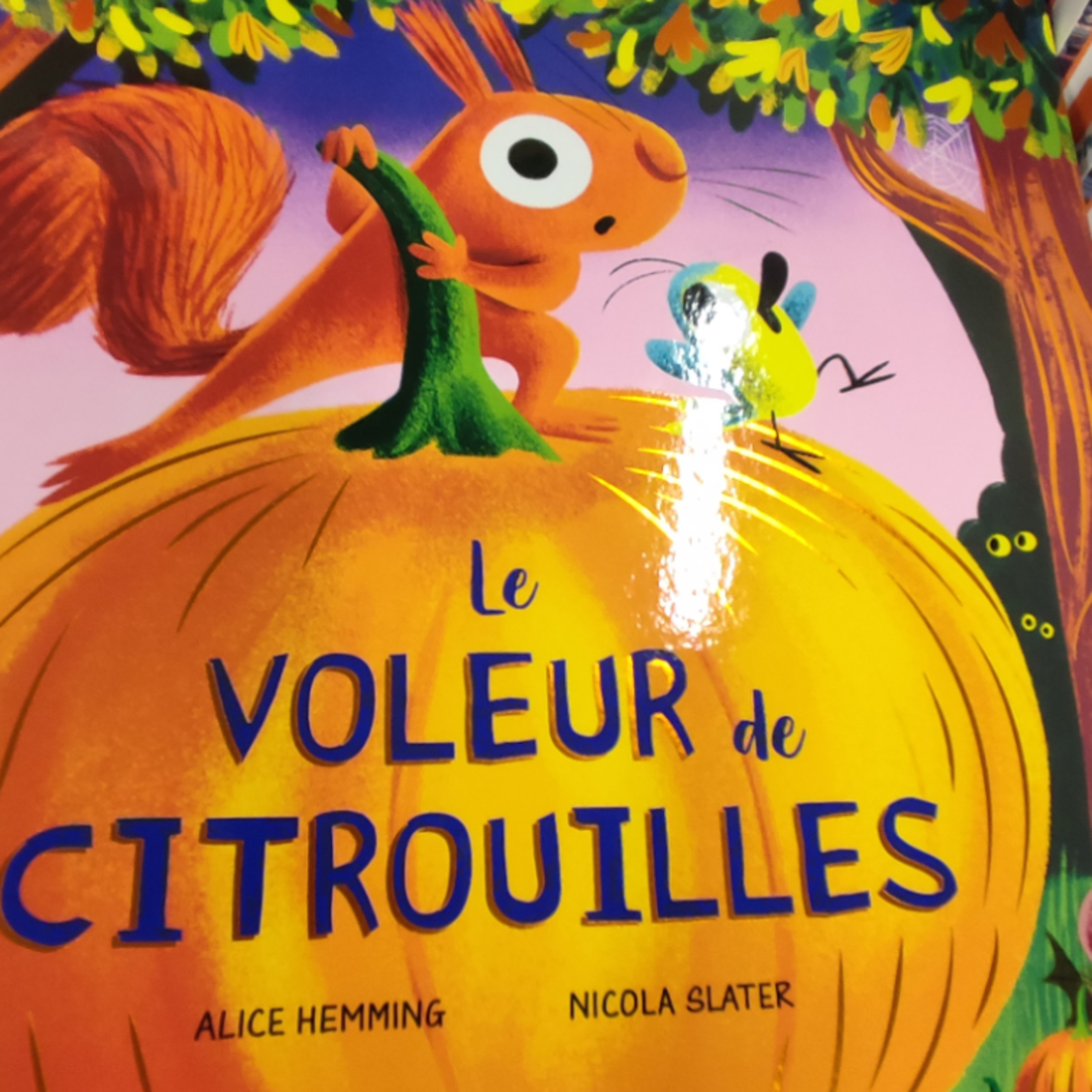 440 Le voleur de citrouilles de Alice Hemming .Pour fêter l'automne.Tout savoir sur les citrouilles episode artwork