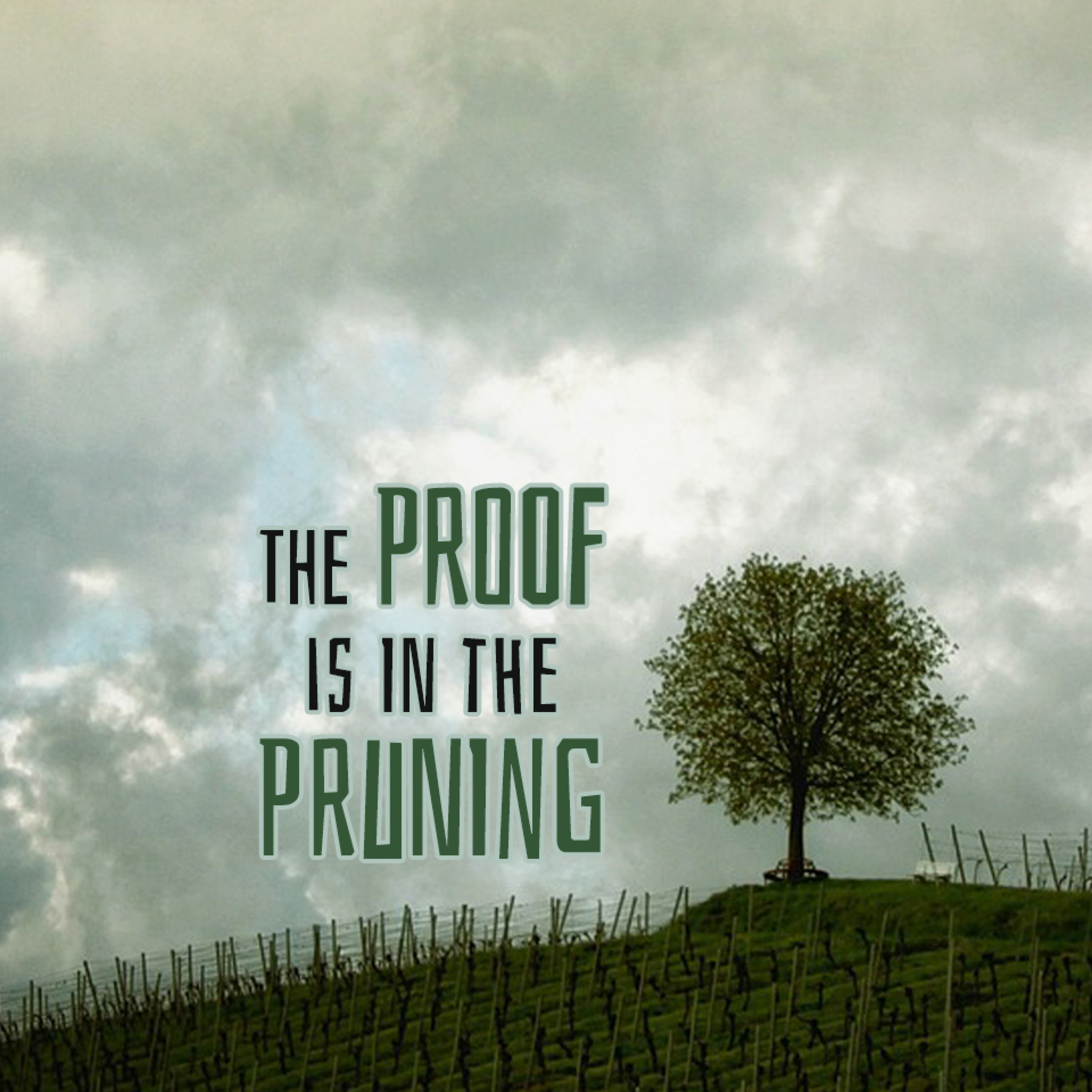 'The Proof is in the Pruning' - John Patterson - 12th November 2023 episode artwork