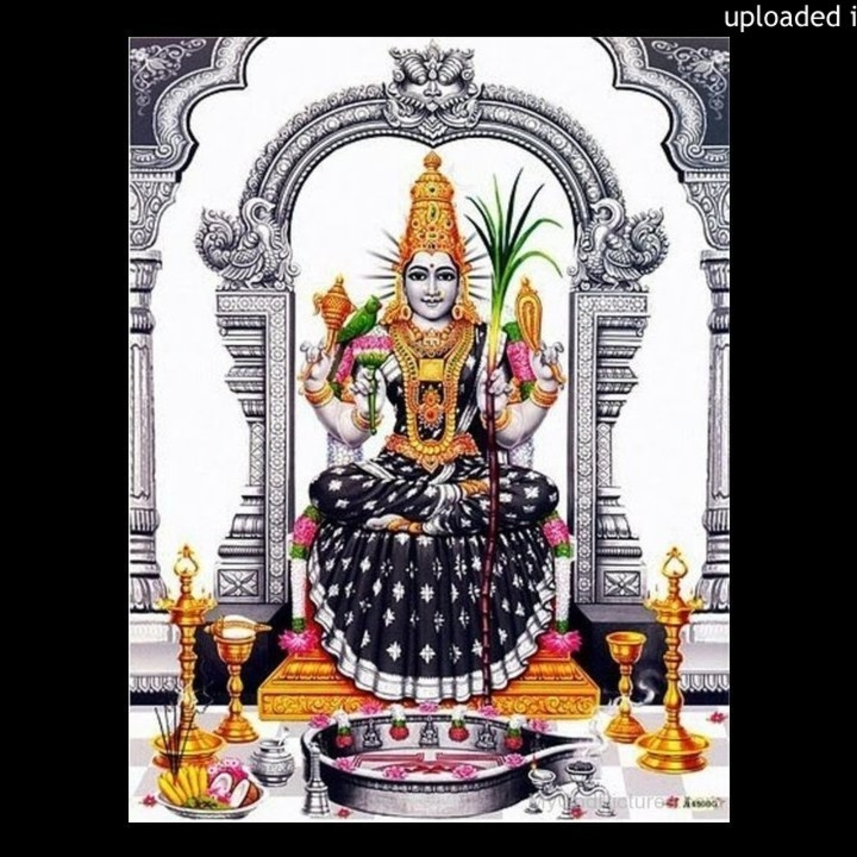 Sarasija Nabha SOdhari (Class / Lesson) - Naga Gandhari - Rupakam - Dikshitar