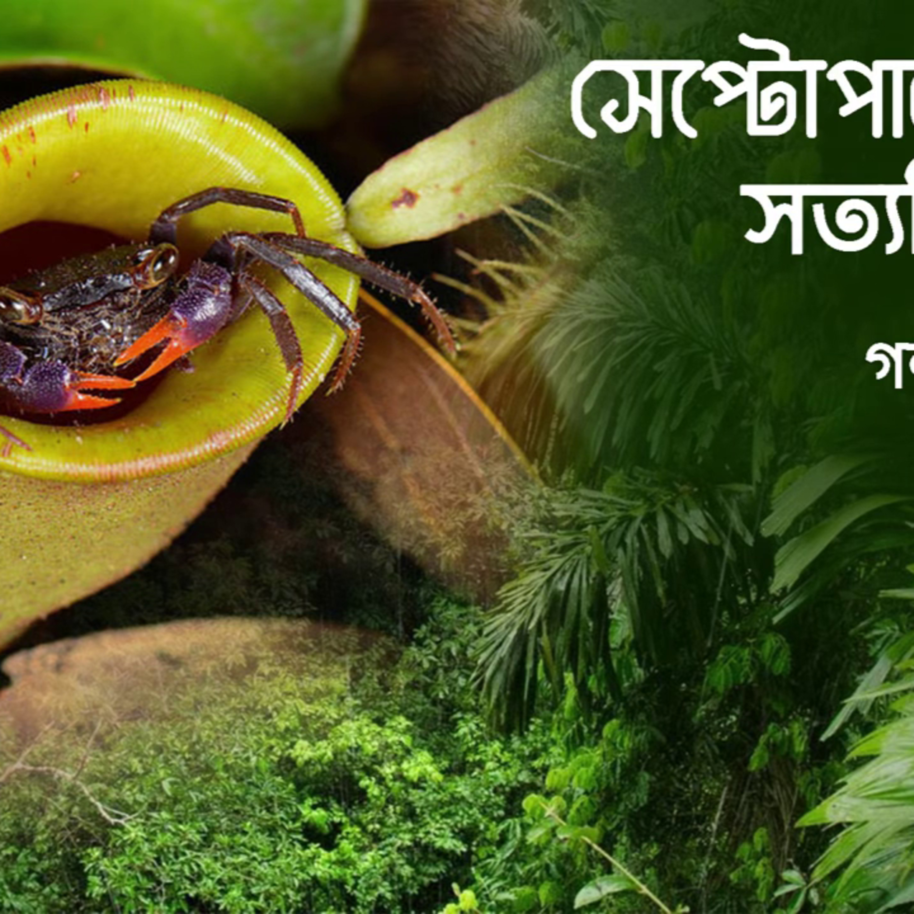Septopaser khide | Satyajit Roy | Suspense | Thriller | Bengali Audio Story By Shree episode artwork