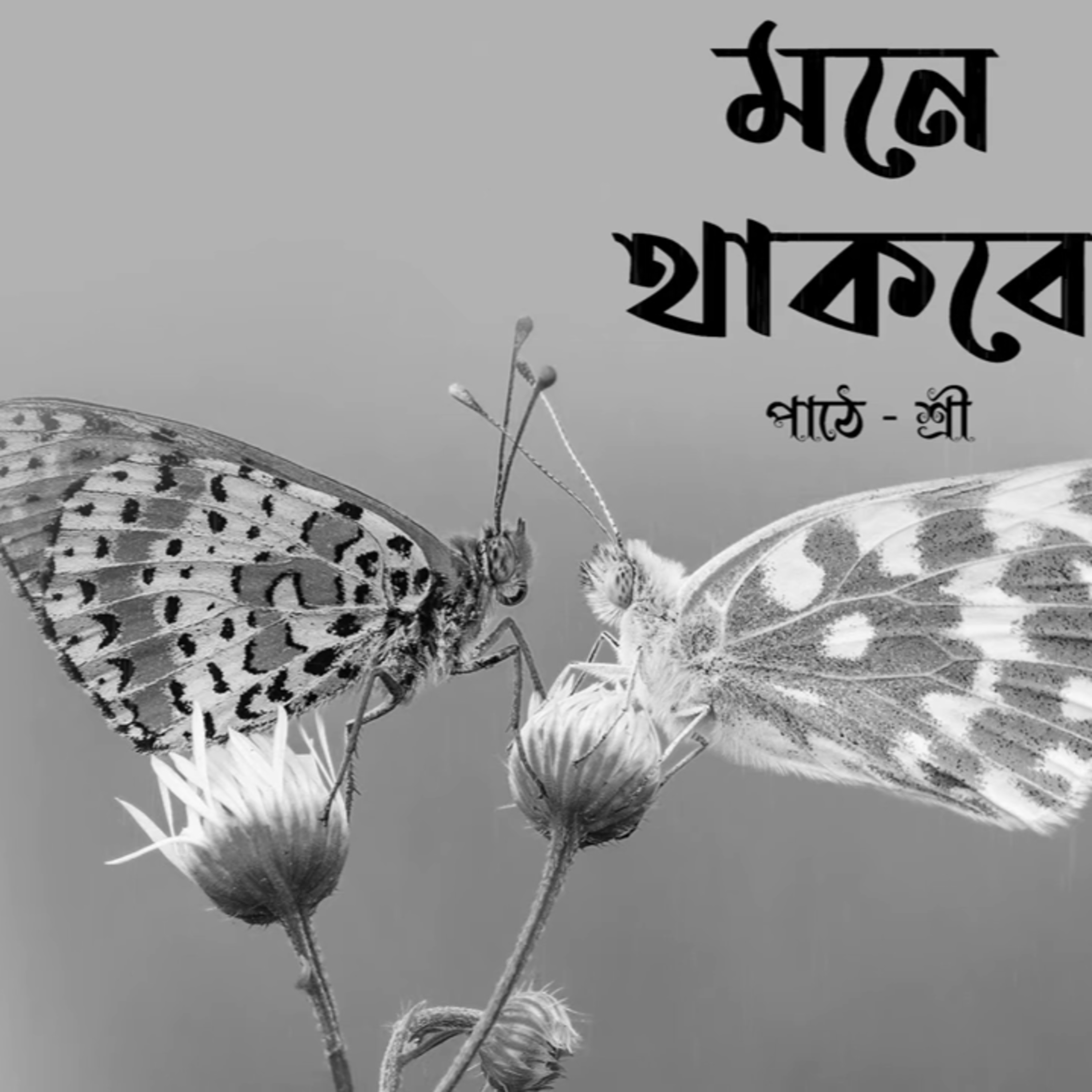 Aa Janmer Durottota Porer Jonme Chukiye Debo! MONE THAKBE ? episode artwork
