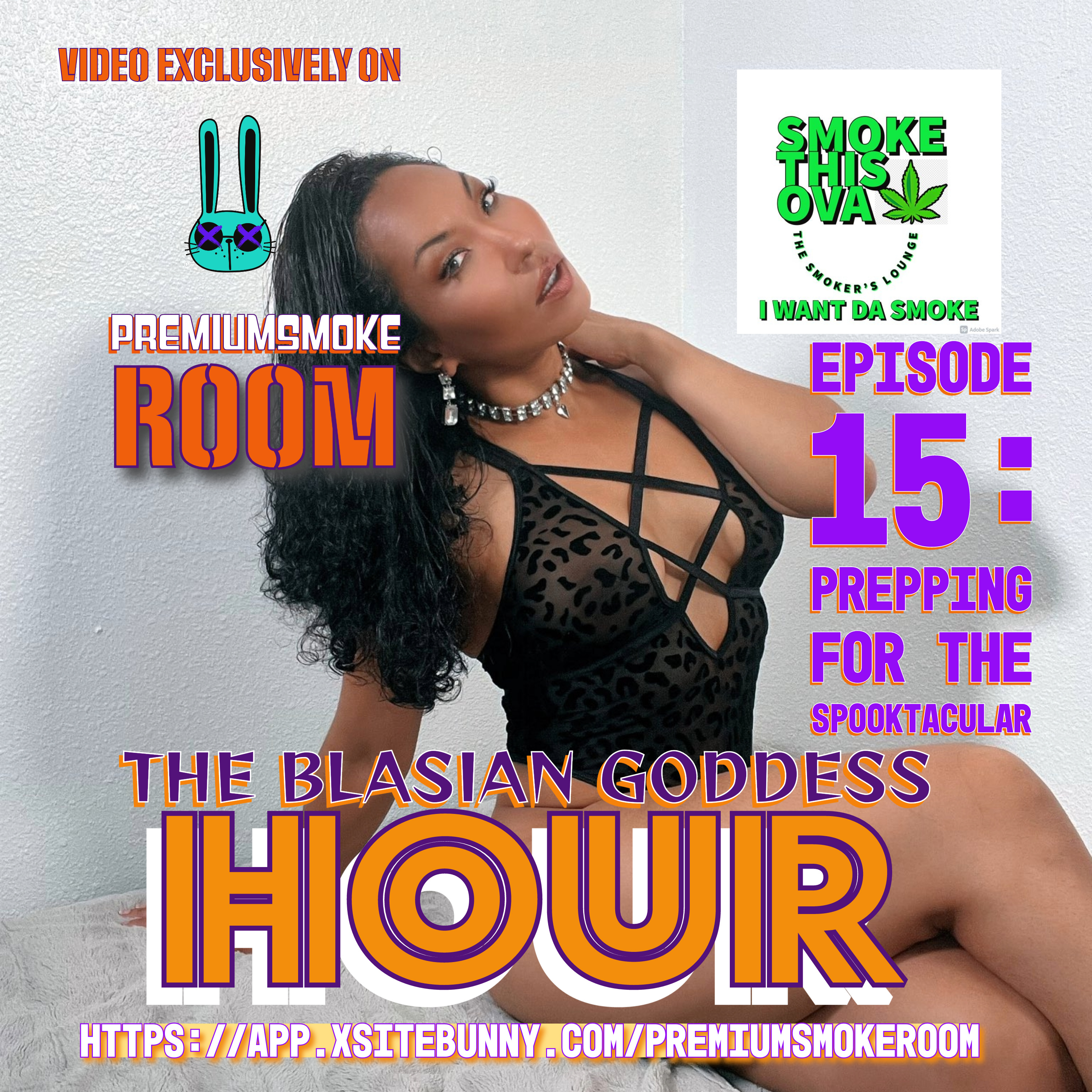 S.T.O. The Smoker\'s Lounge