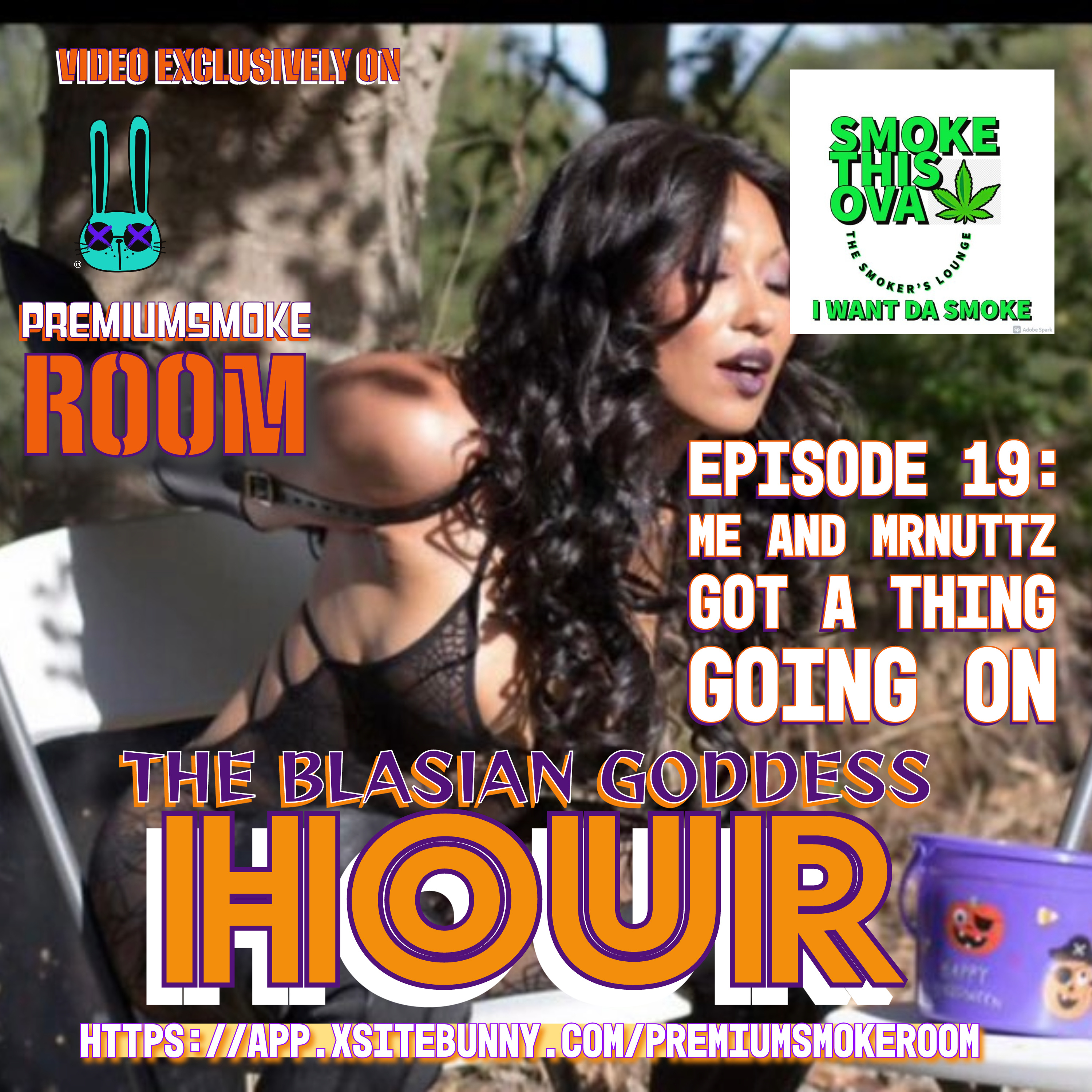 S.T.O. The Smoker\'s Lounge