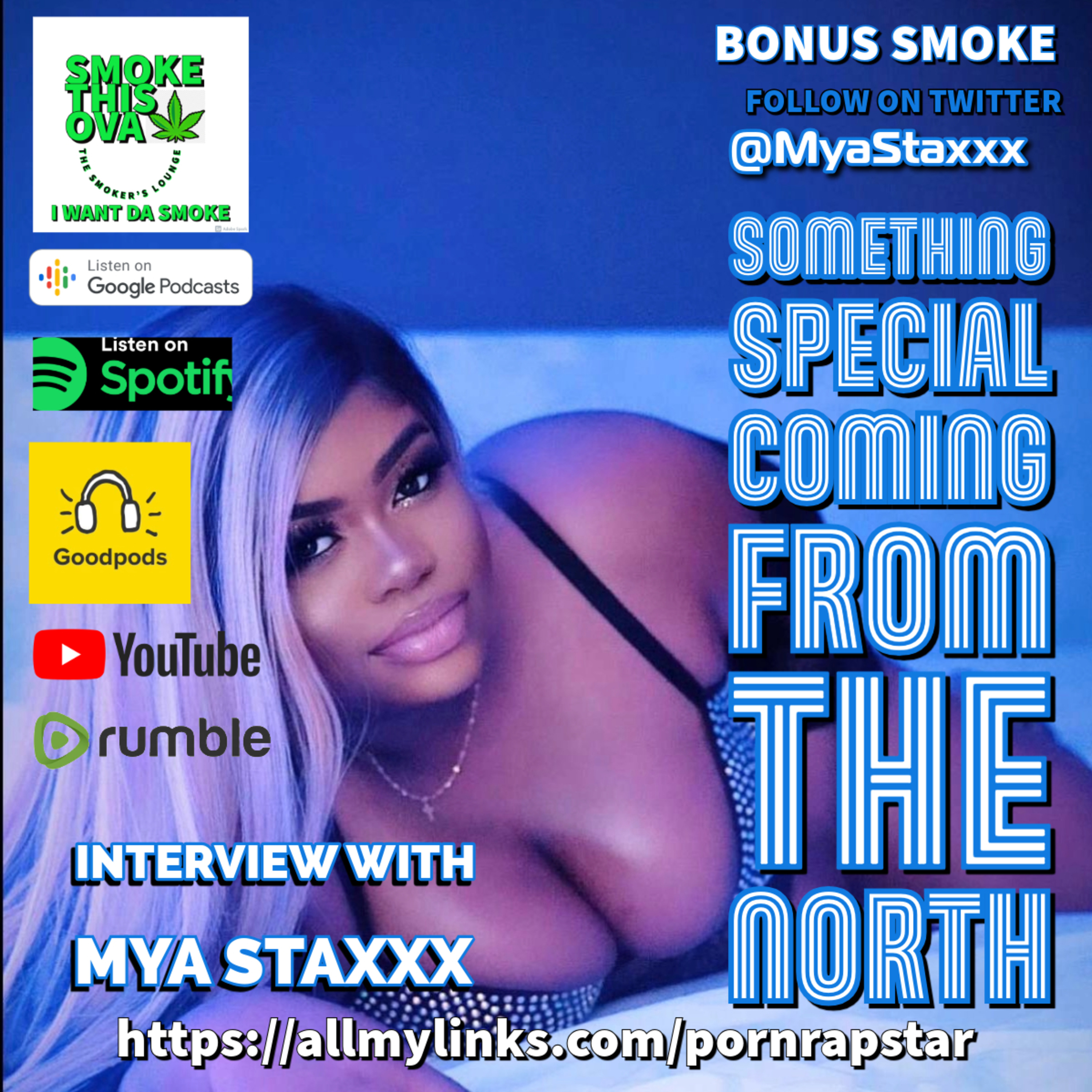 S.T.O. The Smoker\'s Lounge